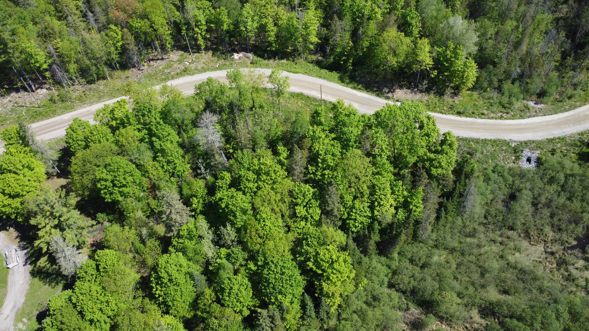 Overall View