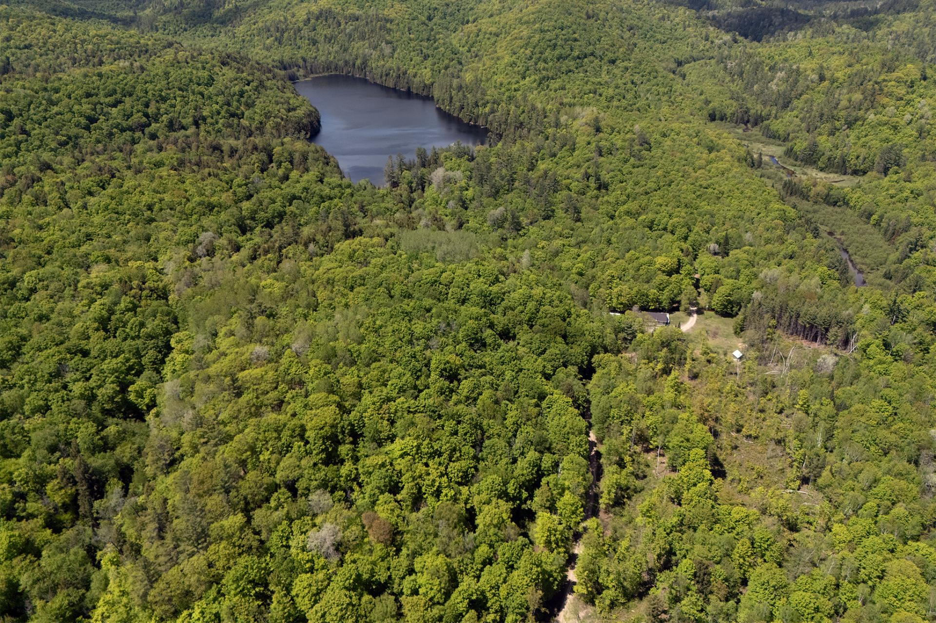 Aerial photo