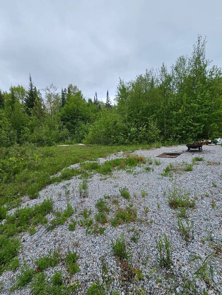 Other - a cleared part of lot