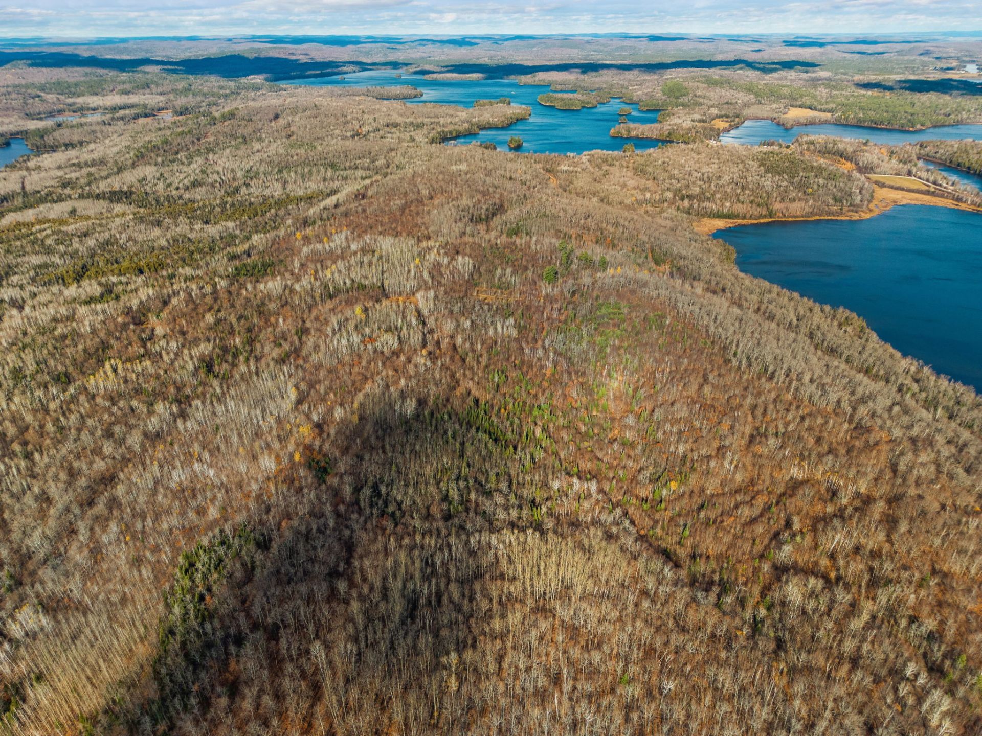 Aerial photo