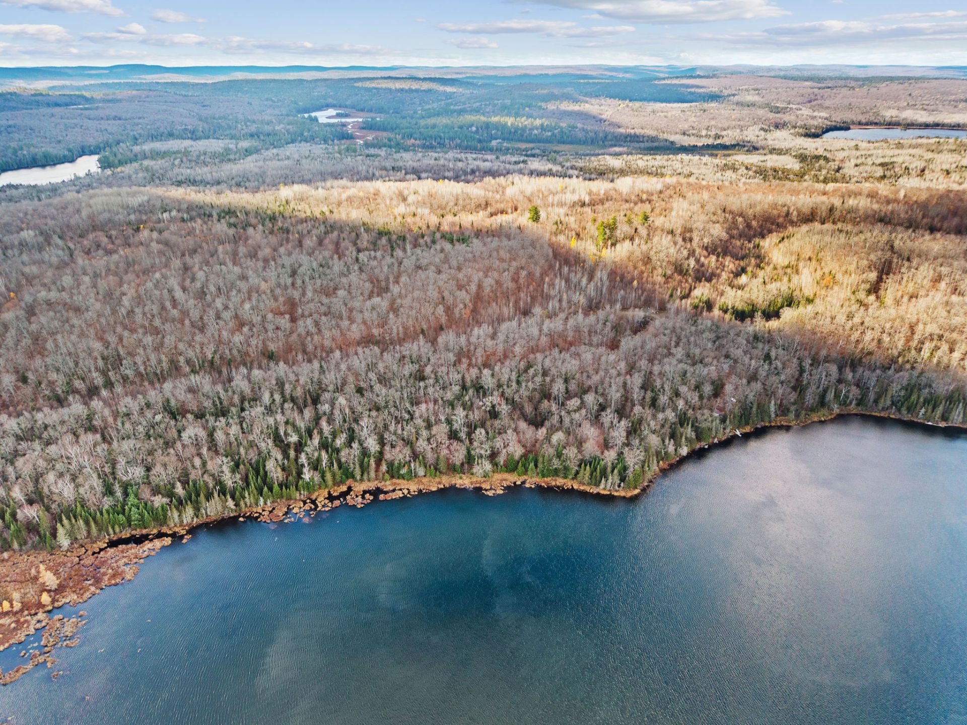 Aerial photo