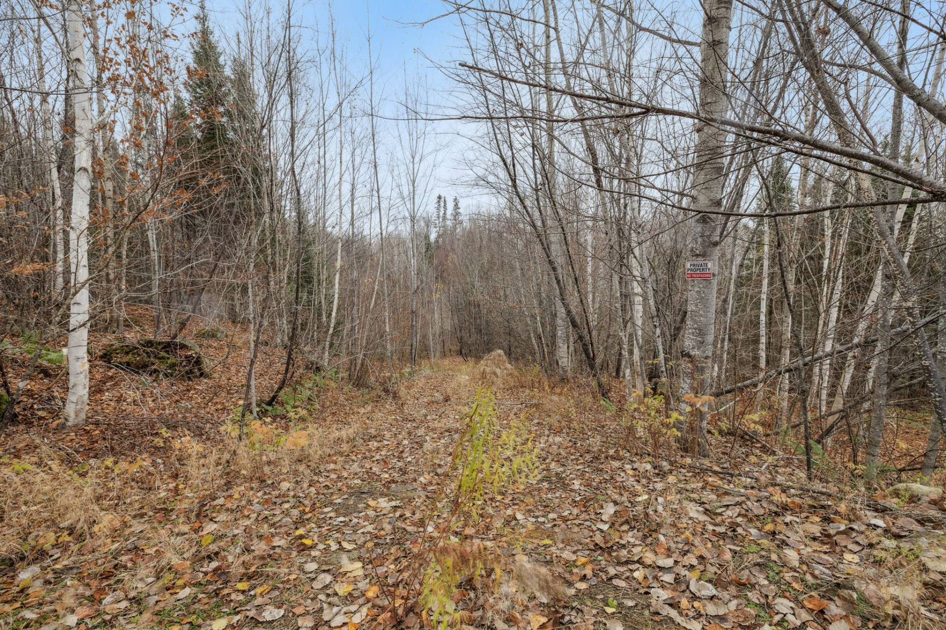 Land/Lot