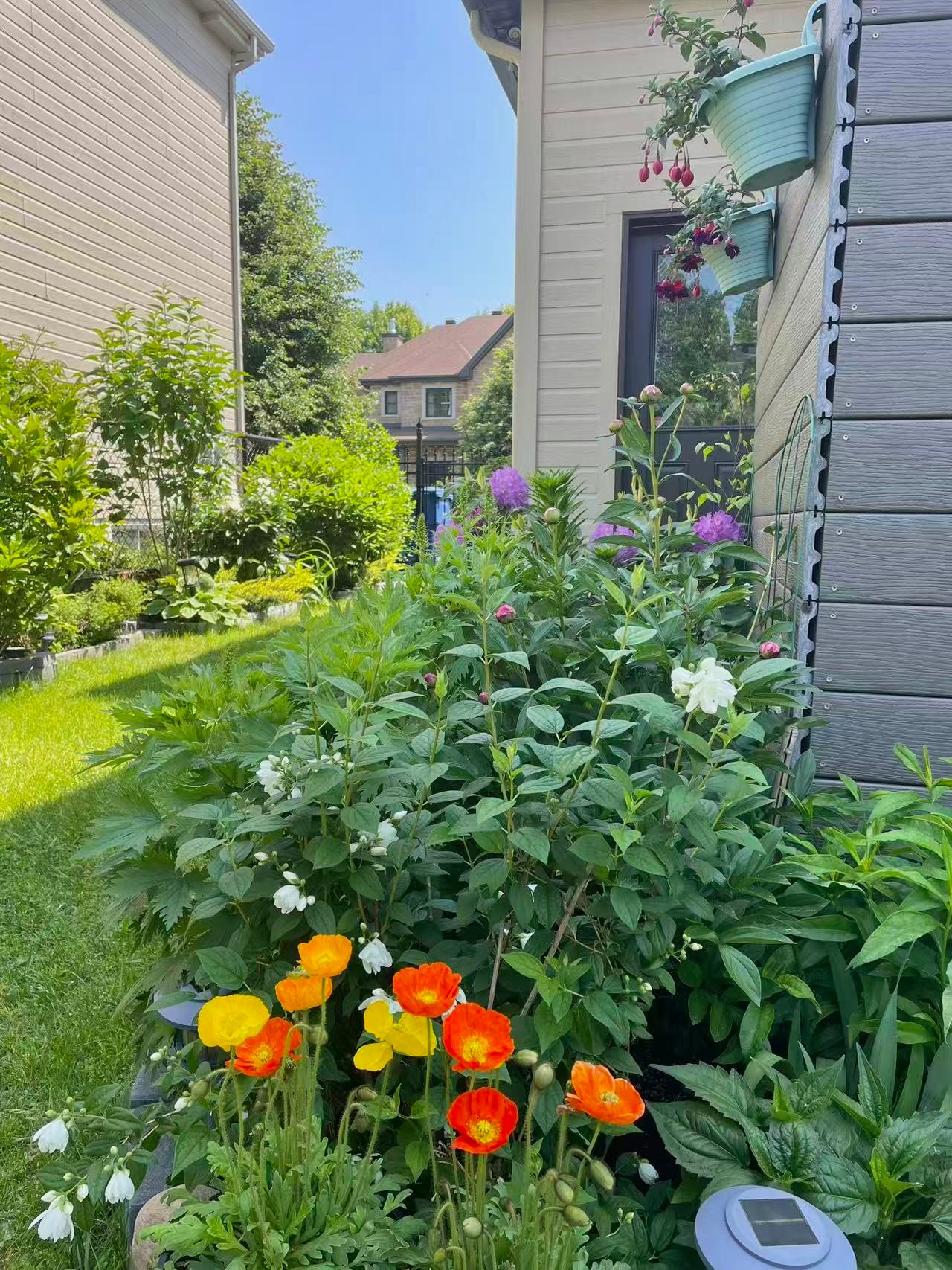 Jardin