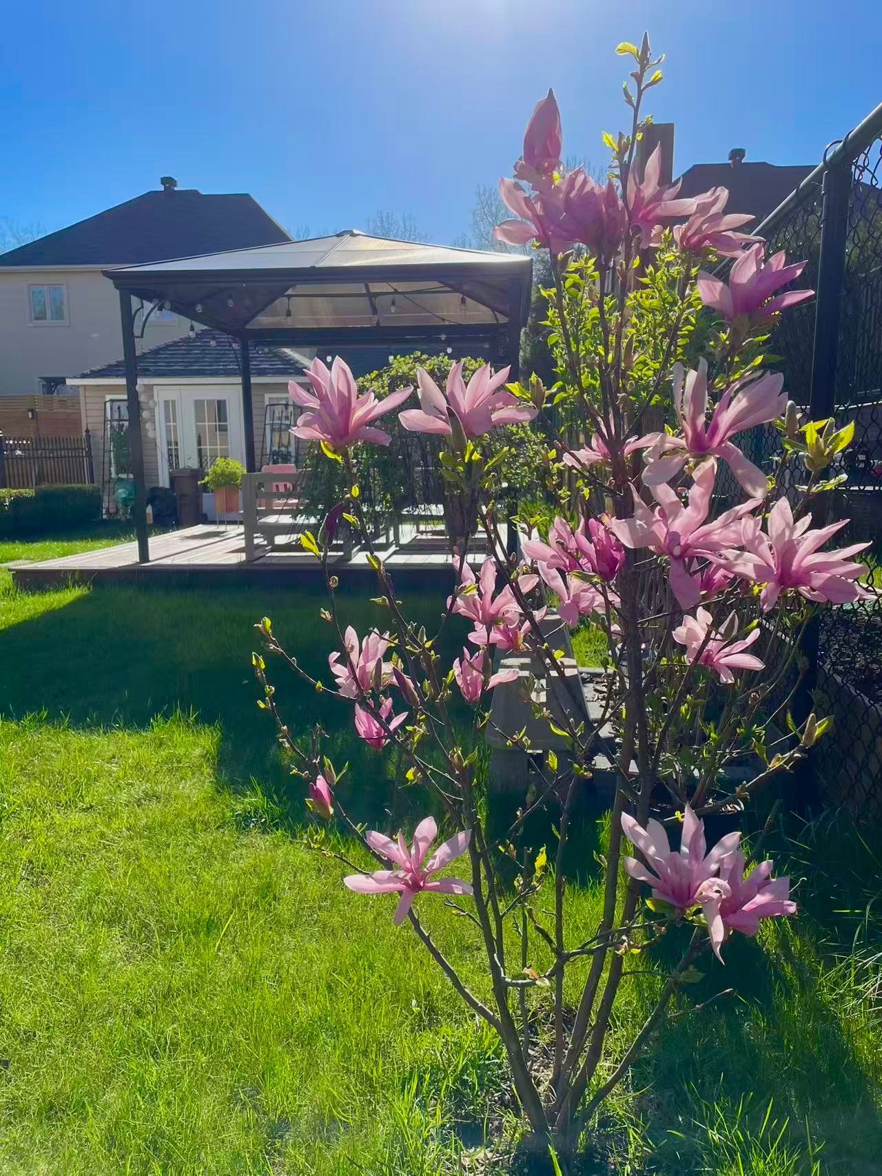 Jardin
