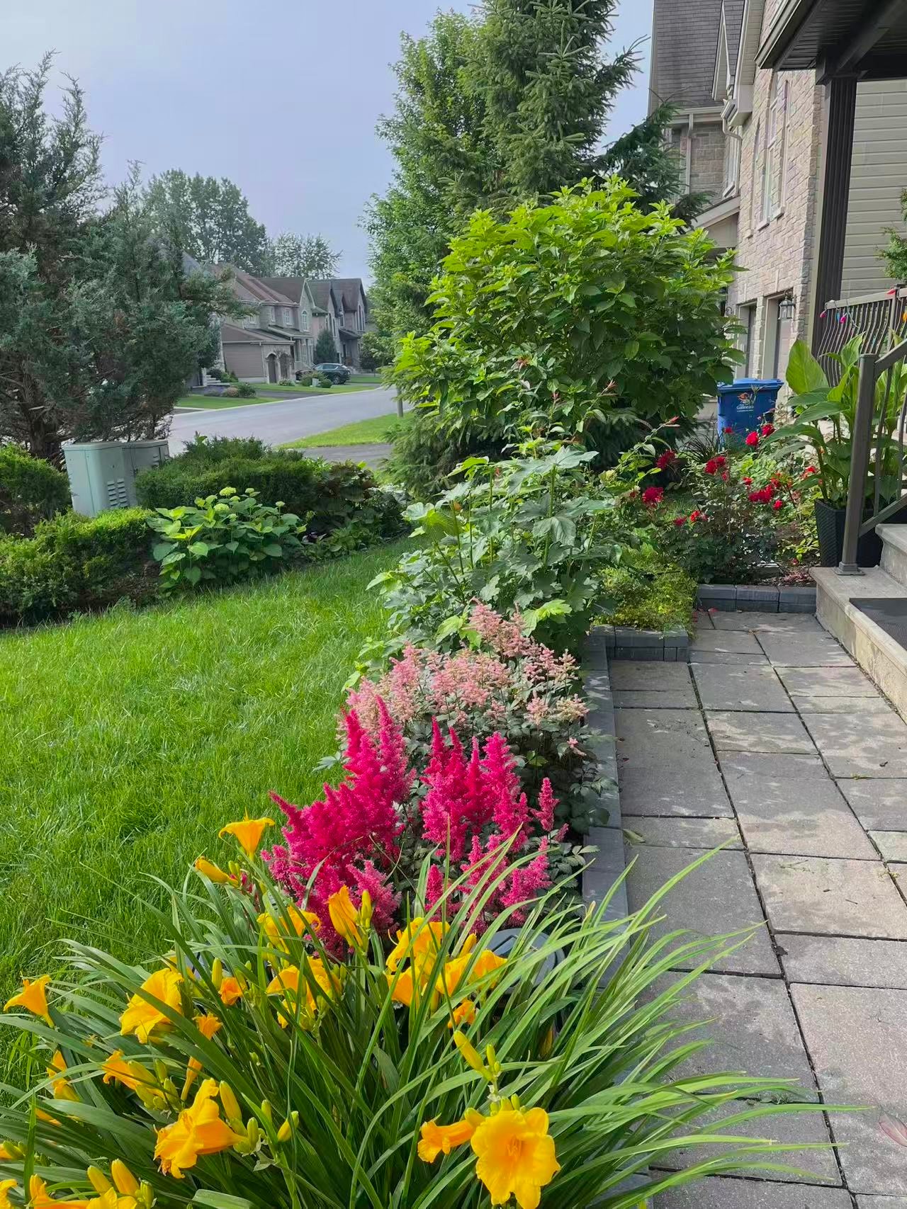 Jardin