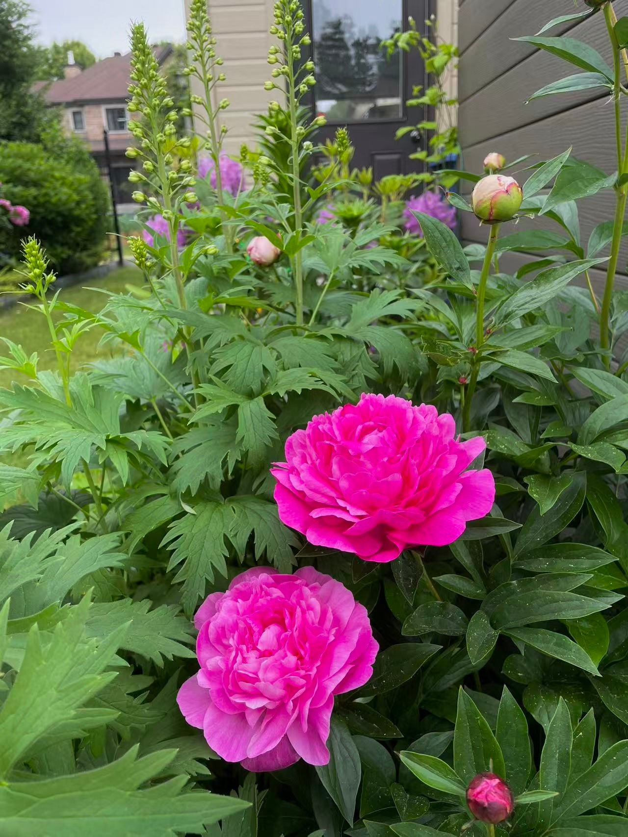 Jardin