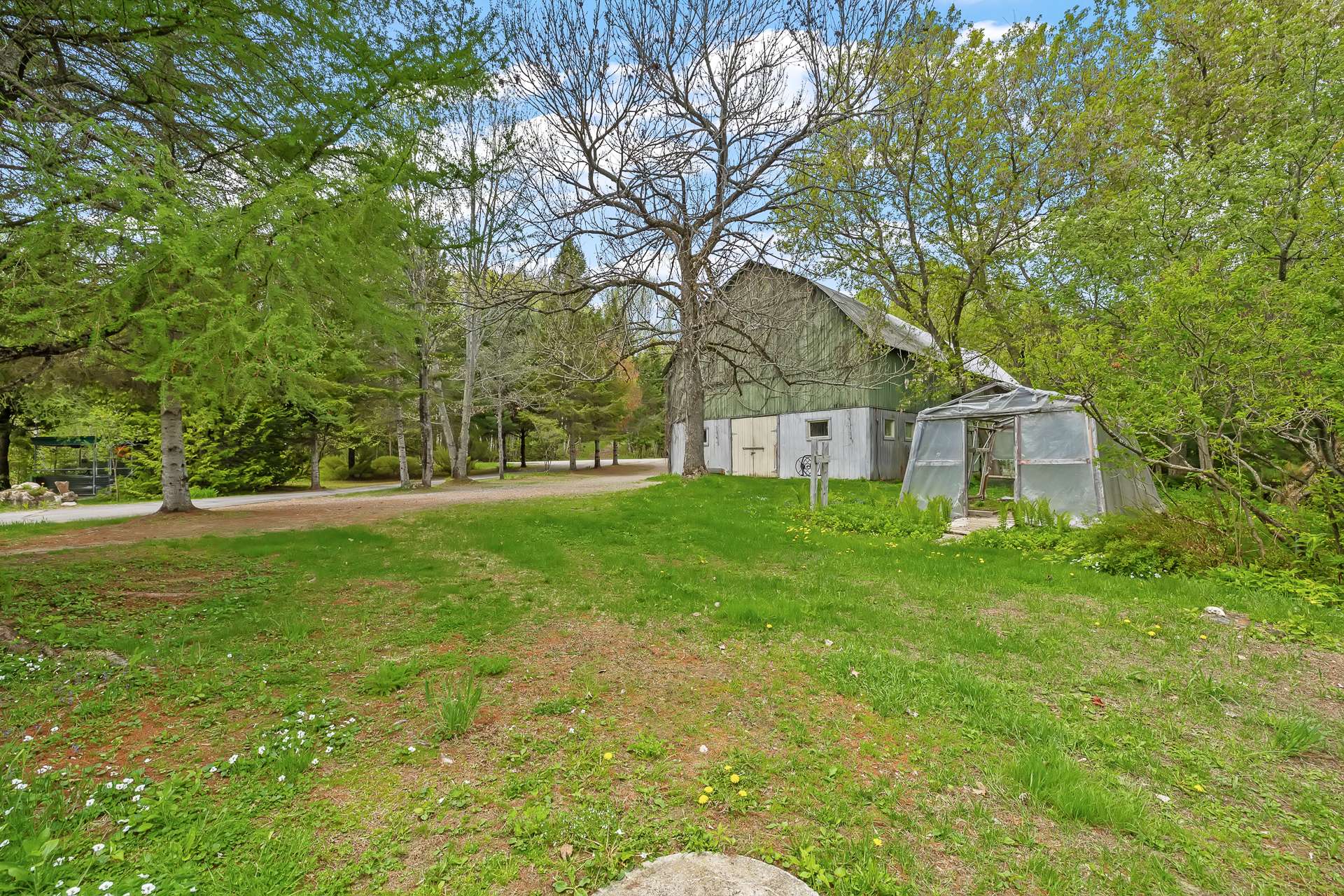 Backyard