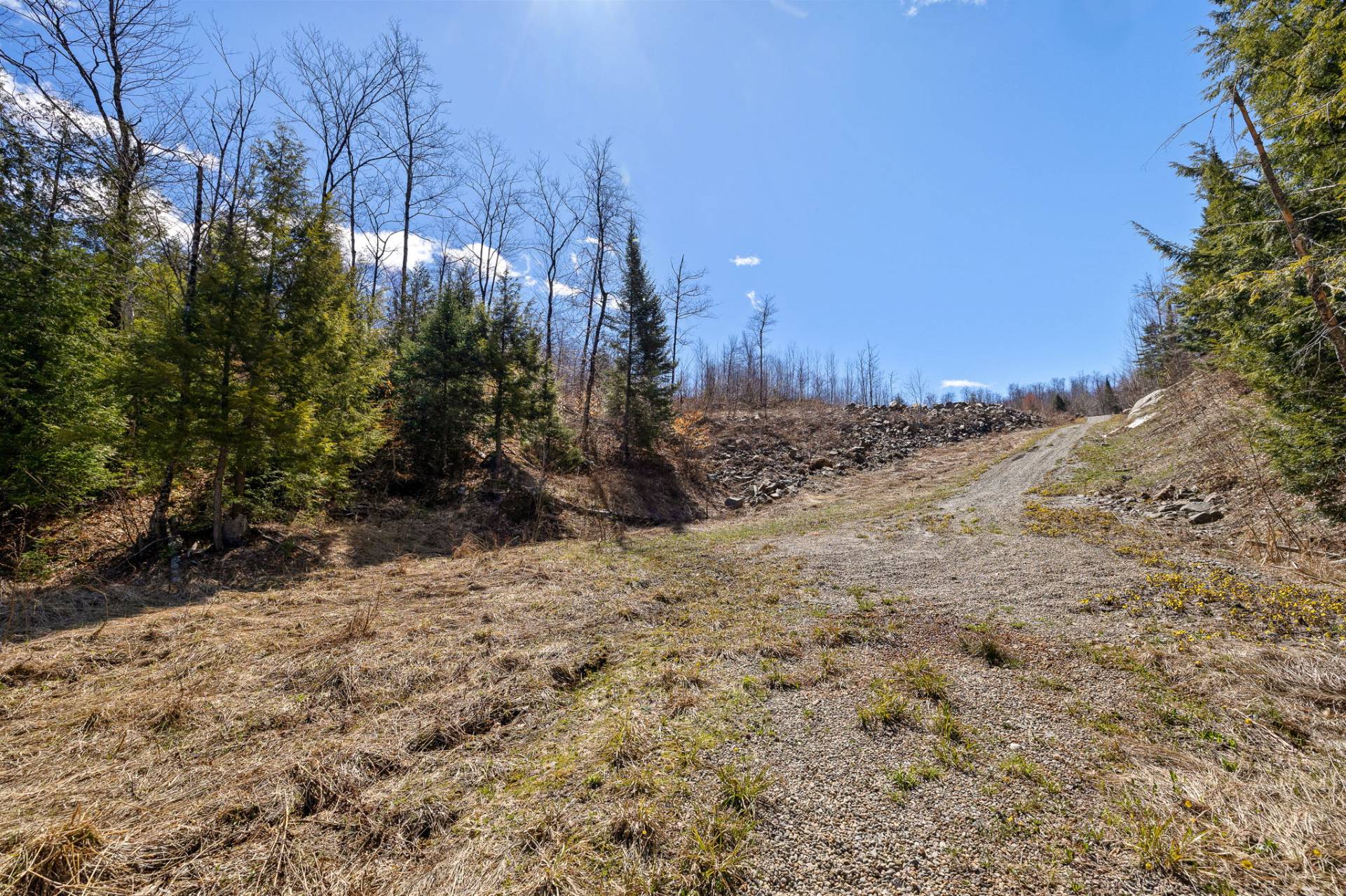 Land/Lot