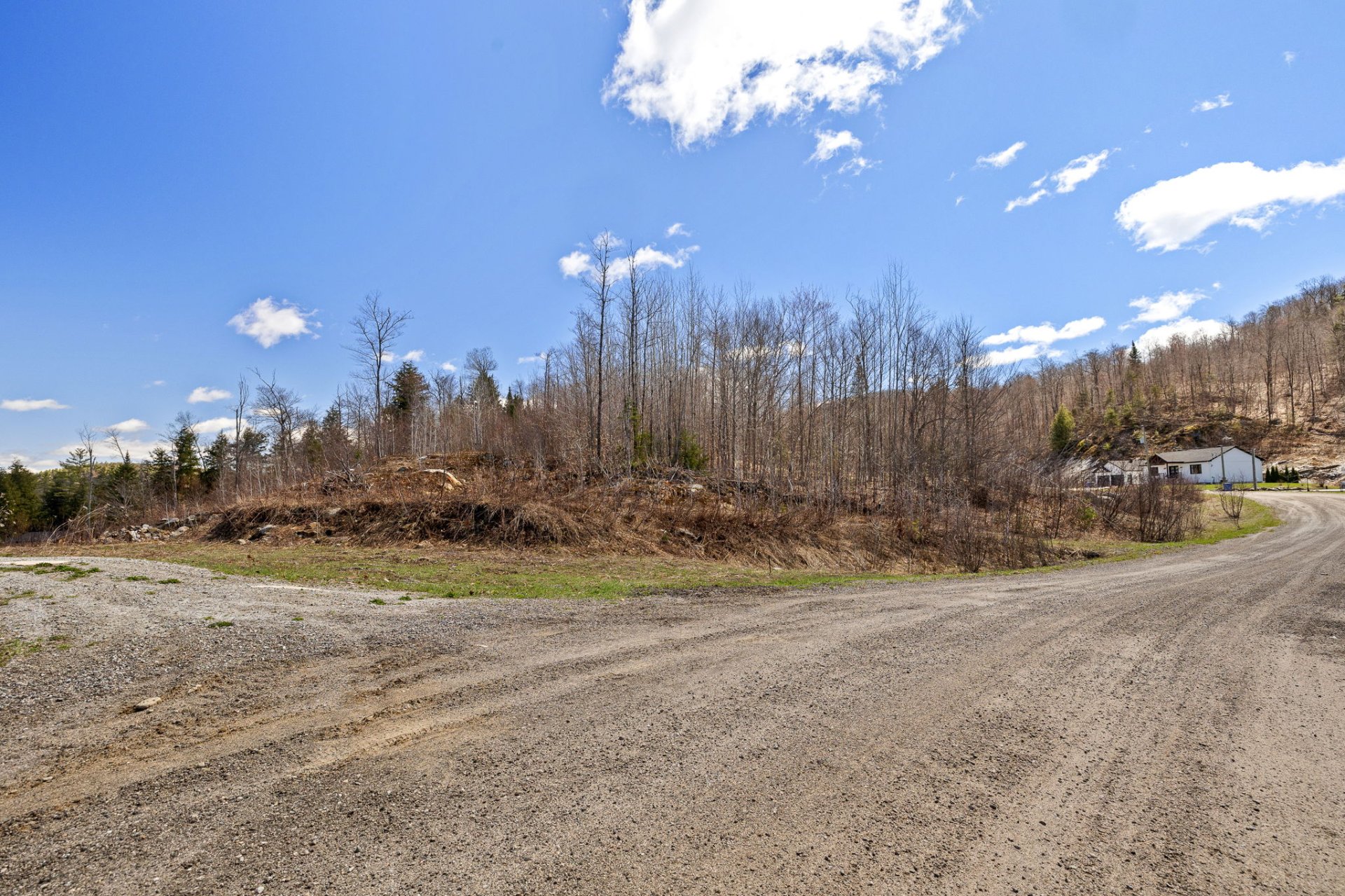 Land/Lot