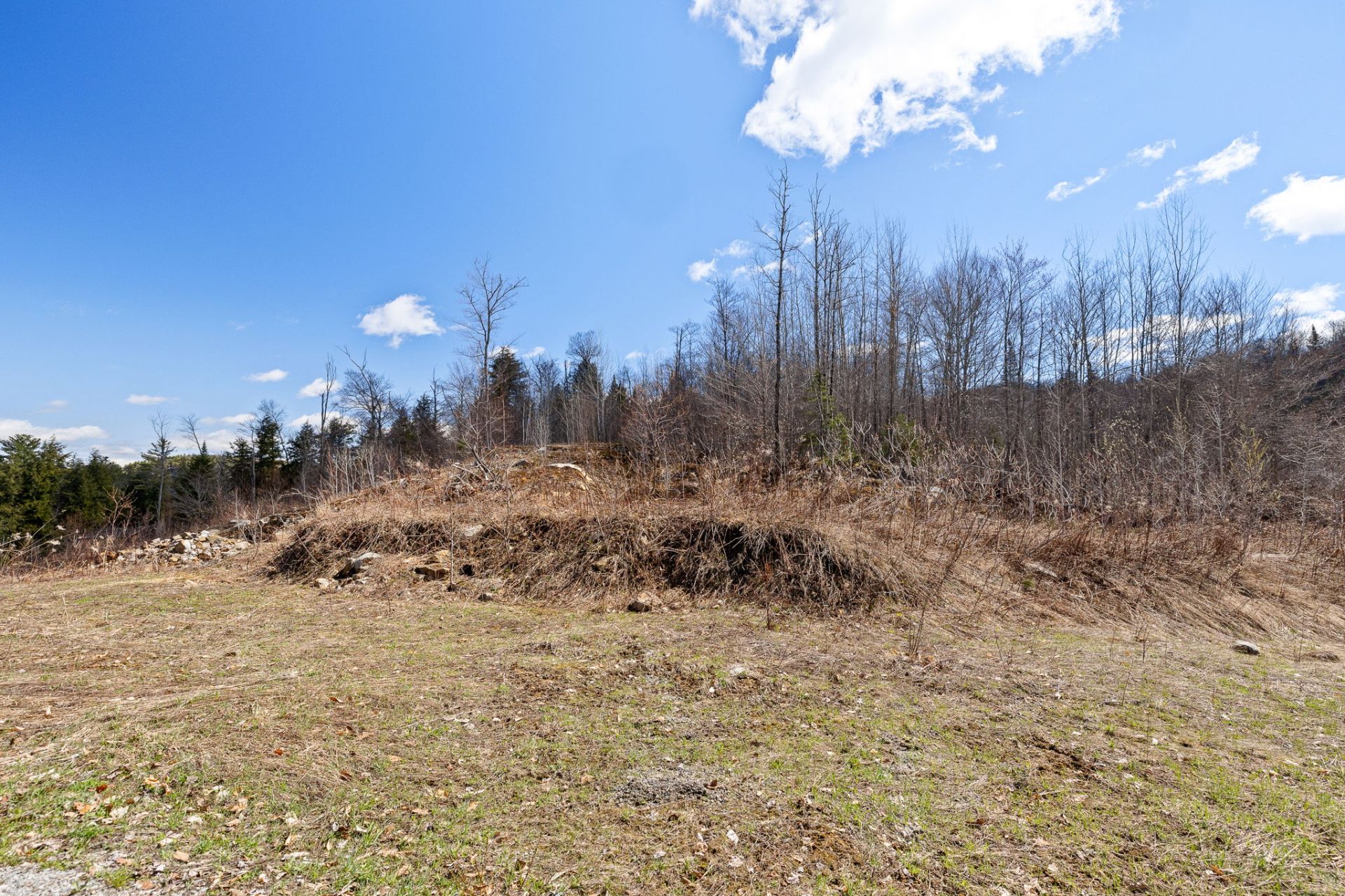 Land/Lot