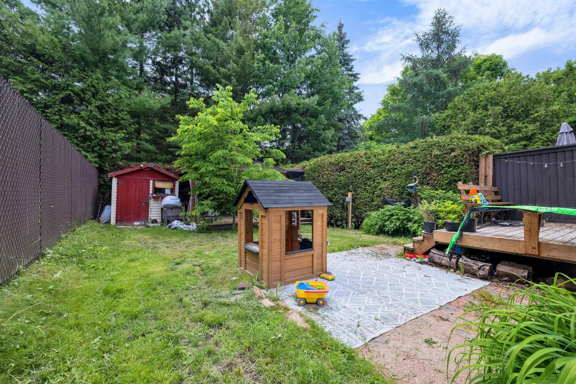 Backyard