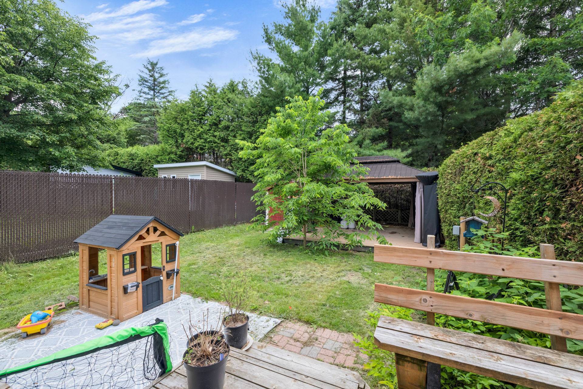 Backyard