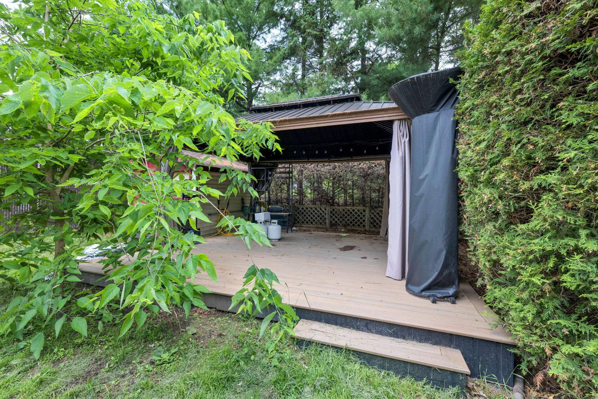 Backyard
