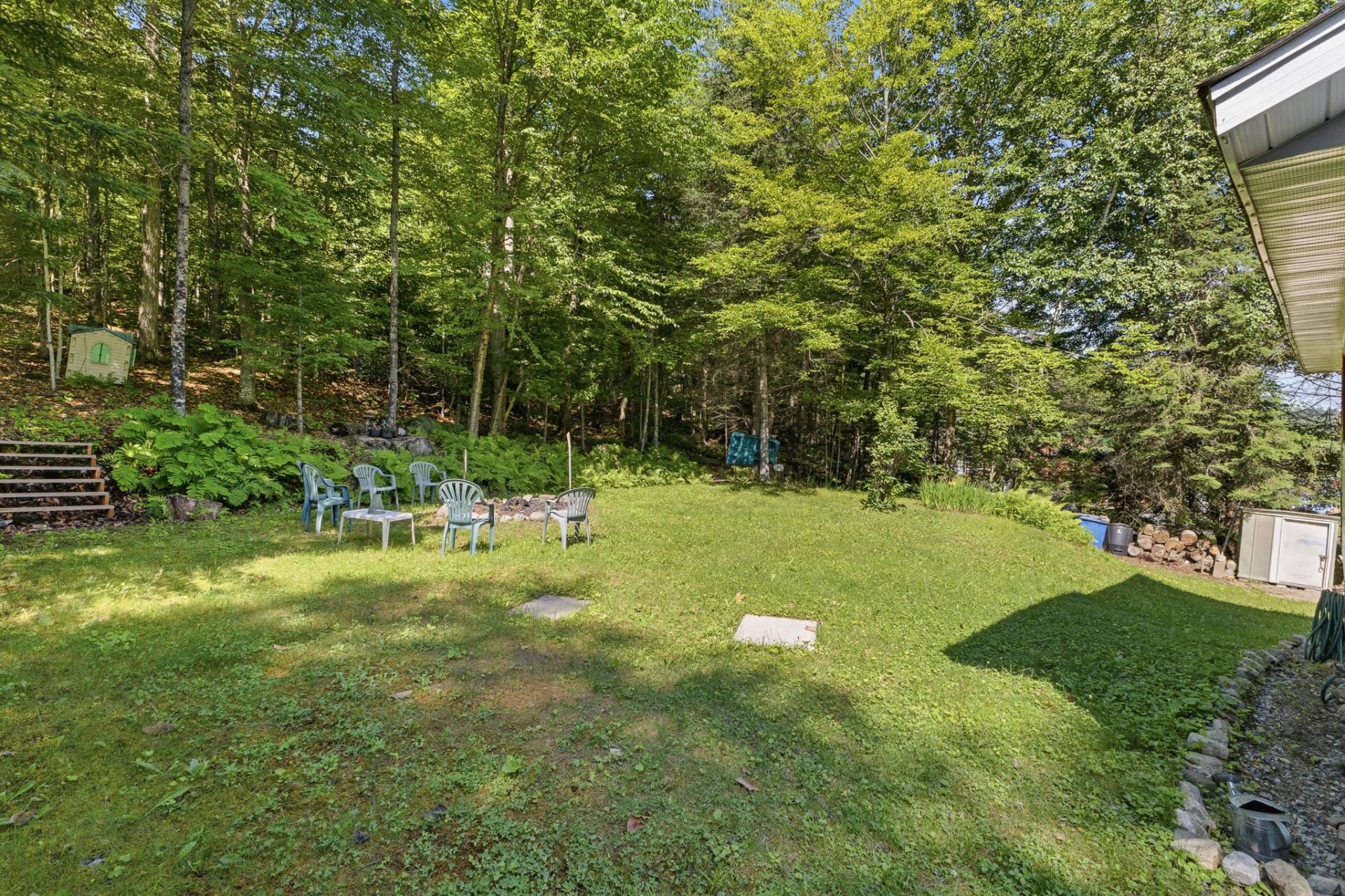 Backyard