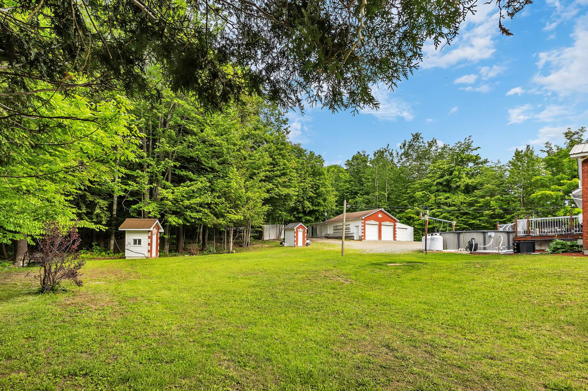 Backyard