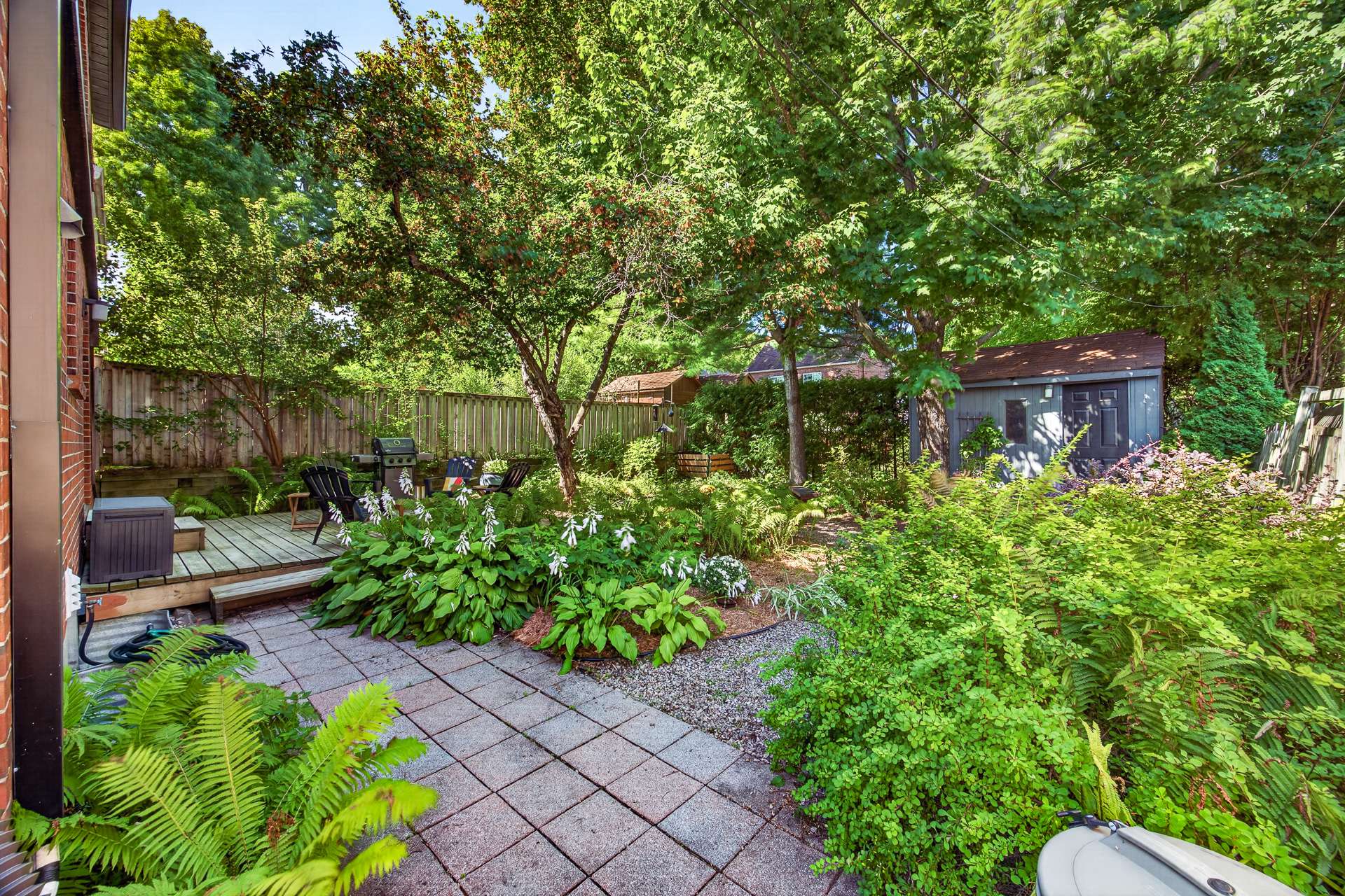 Backyard