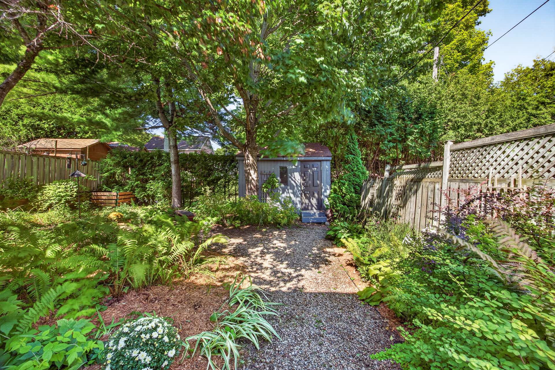 Backyard