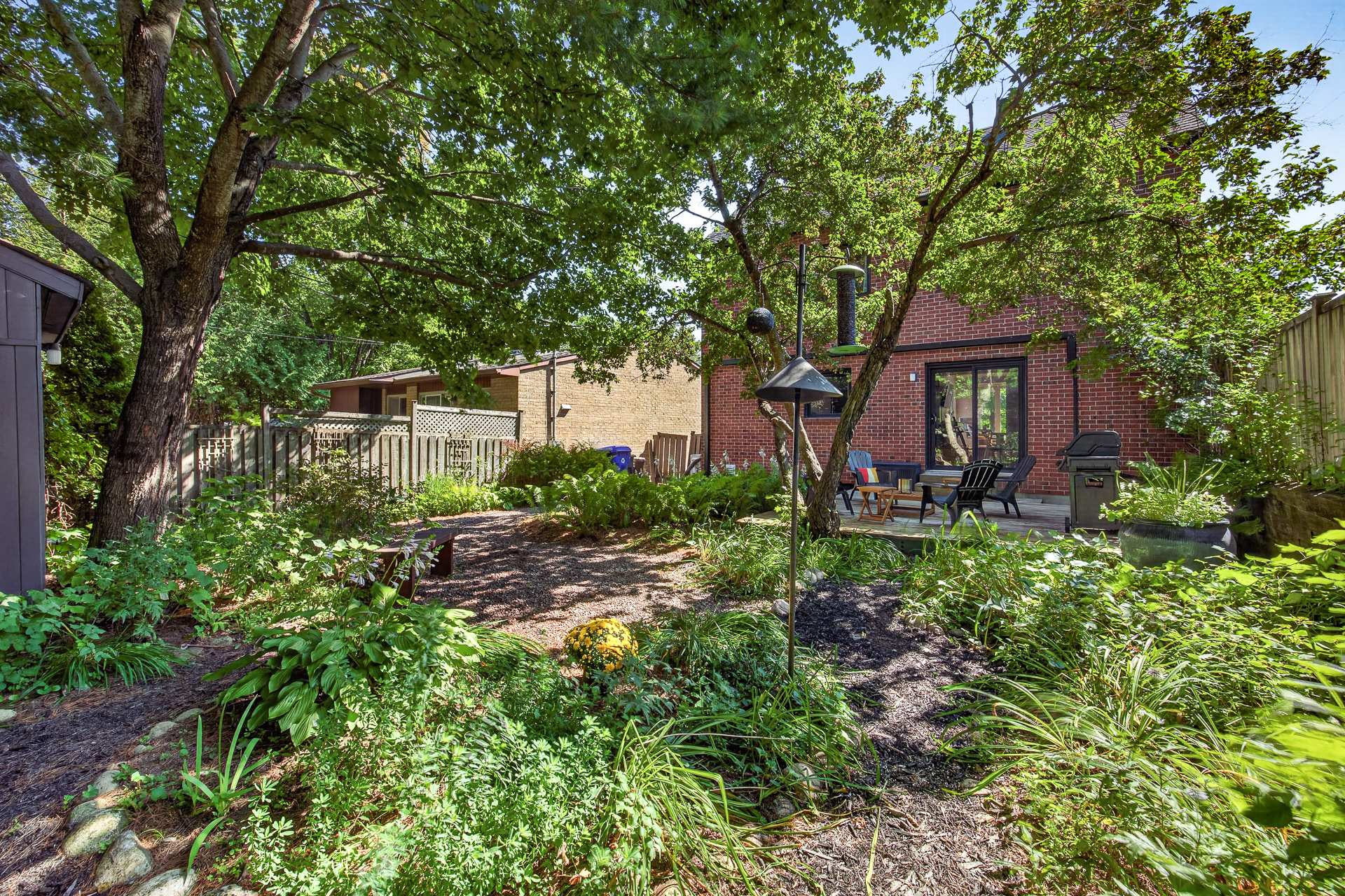 Backyard