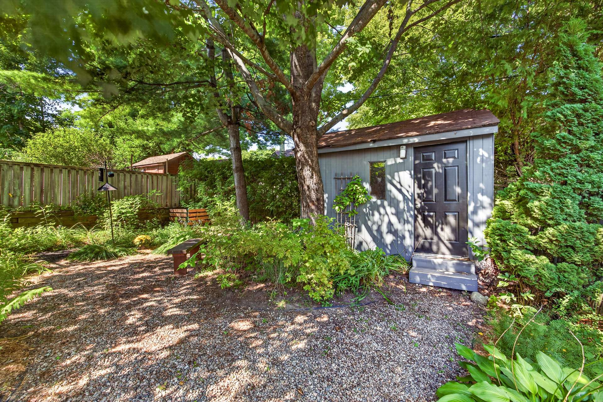 Backyard