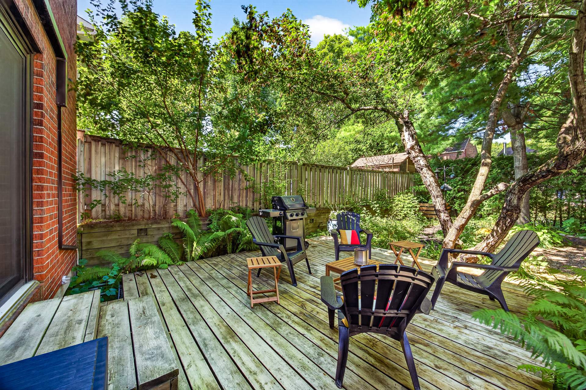 Backyard
