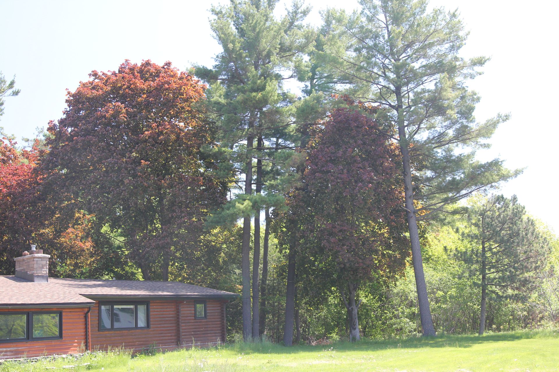 Land/Lot