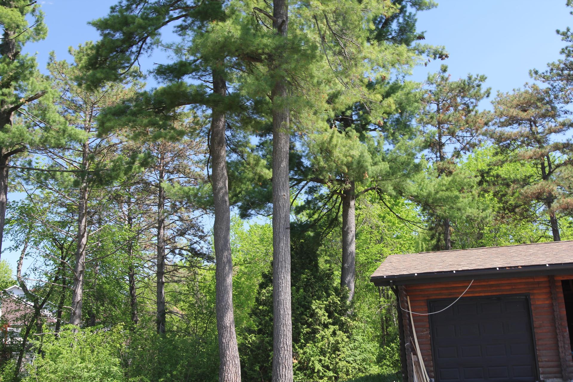 Land/Lot