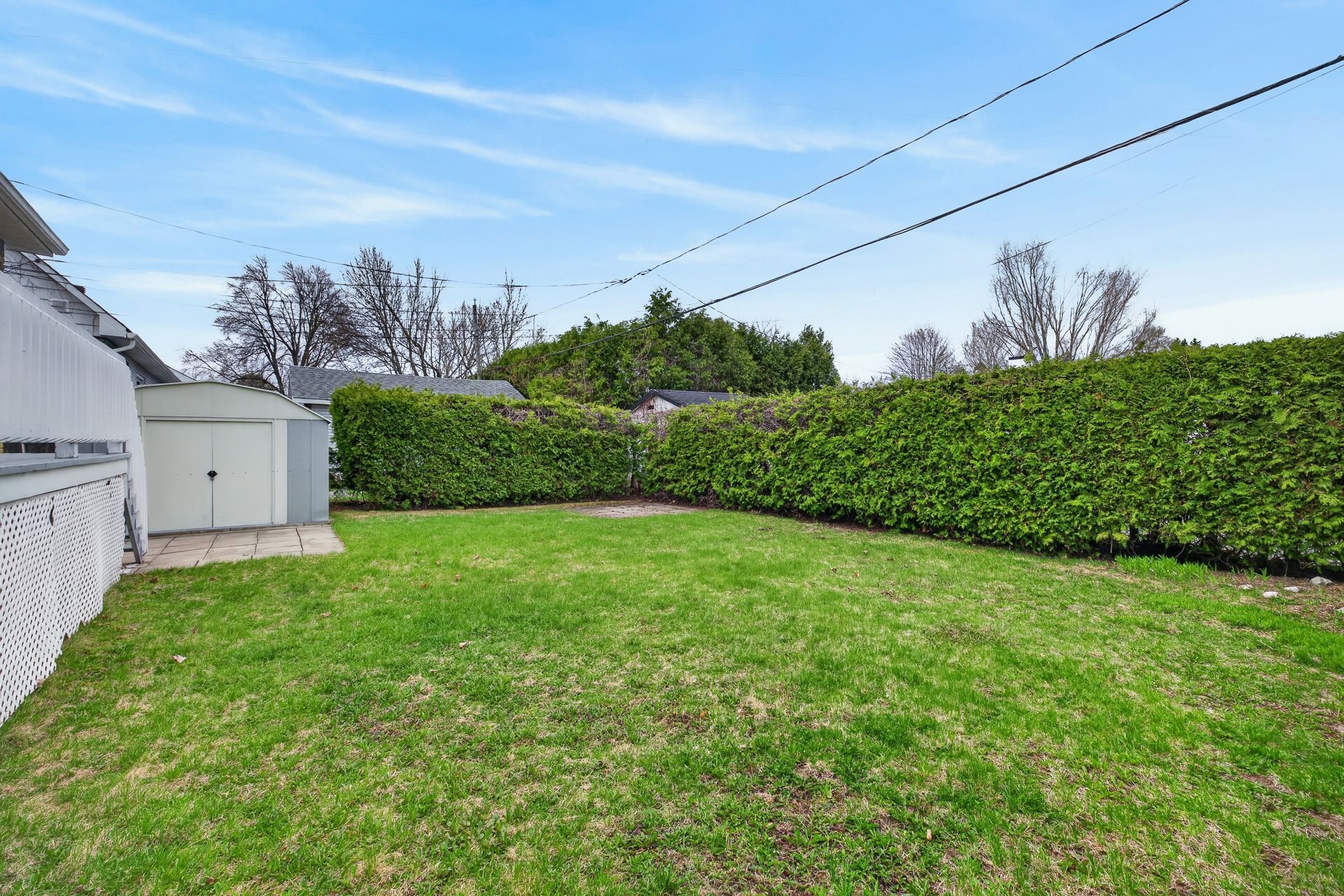 Backyard