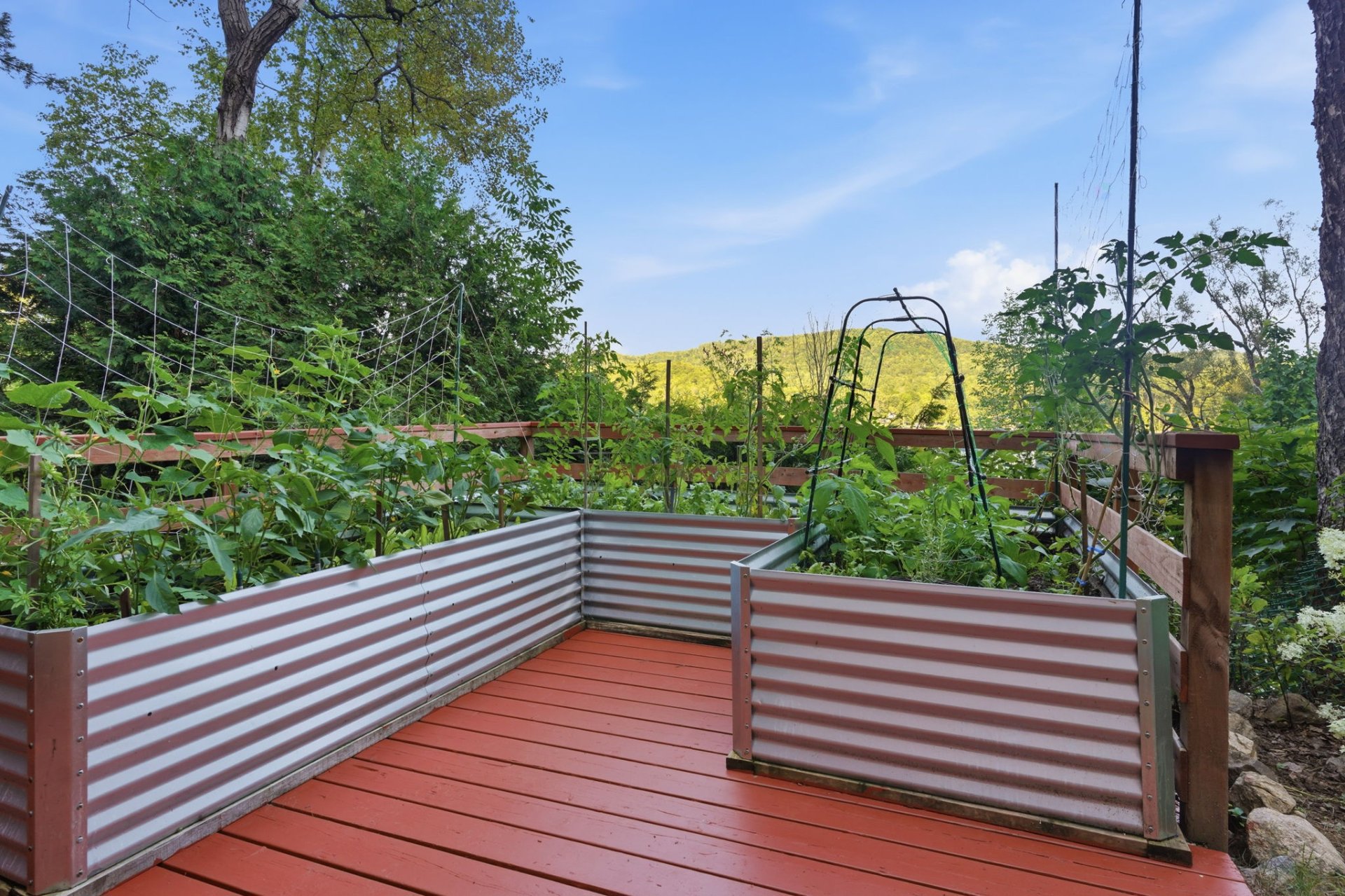 Jardin