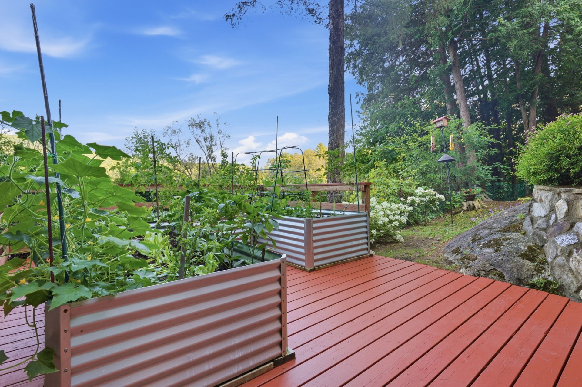 Jardin