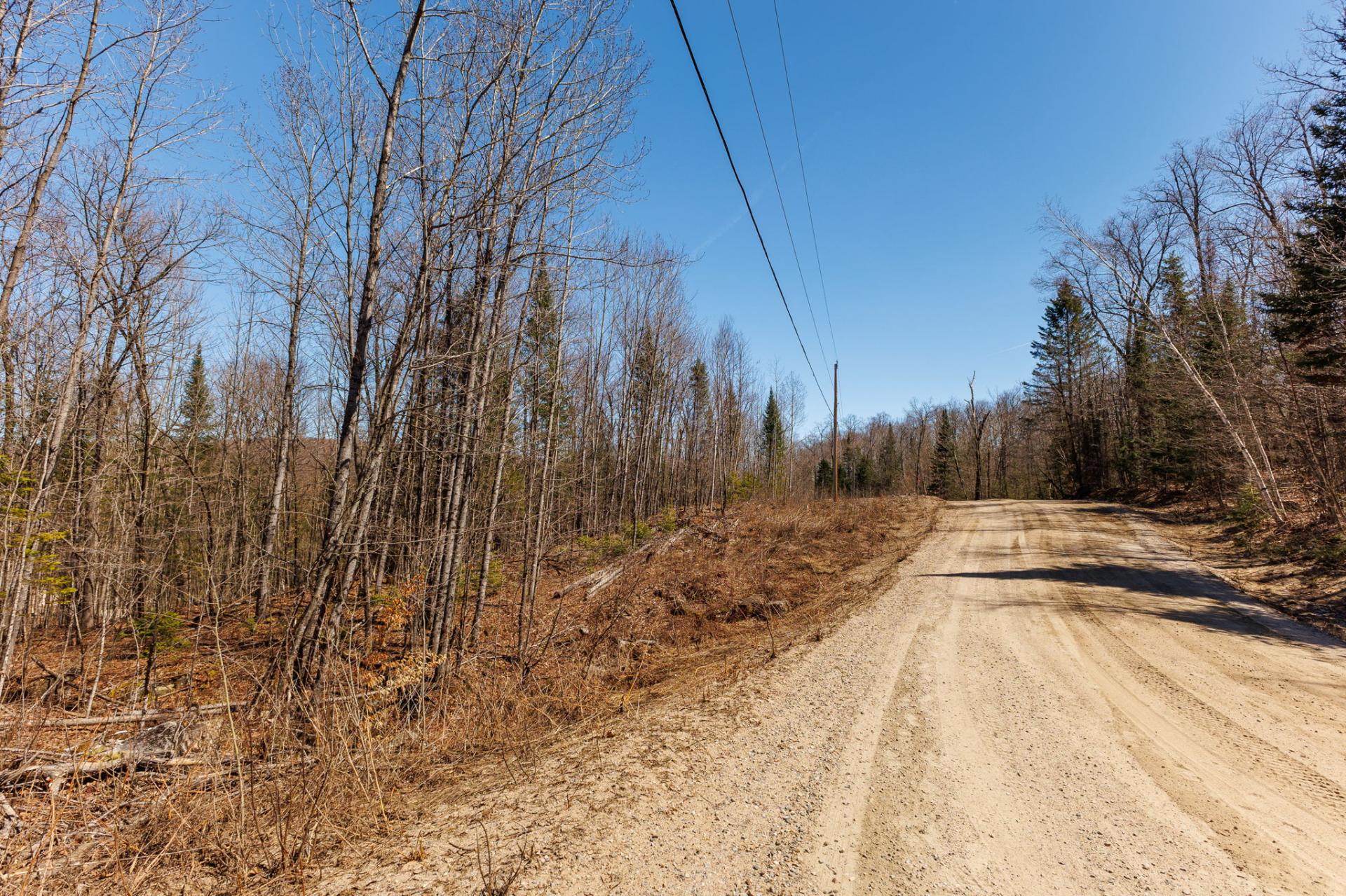 Wooded area