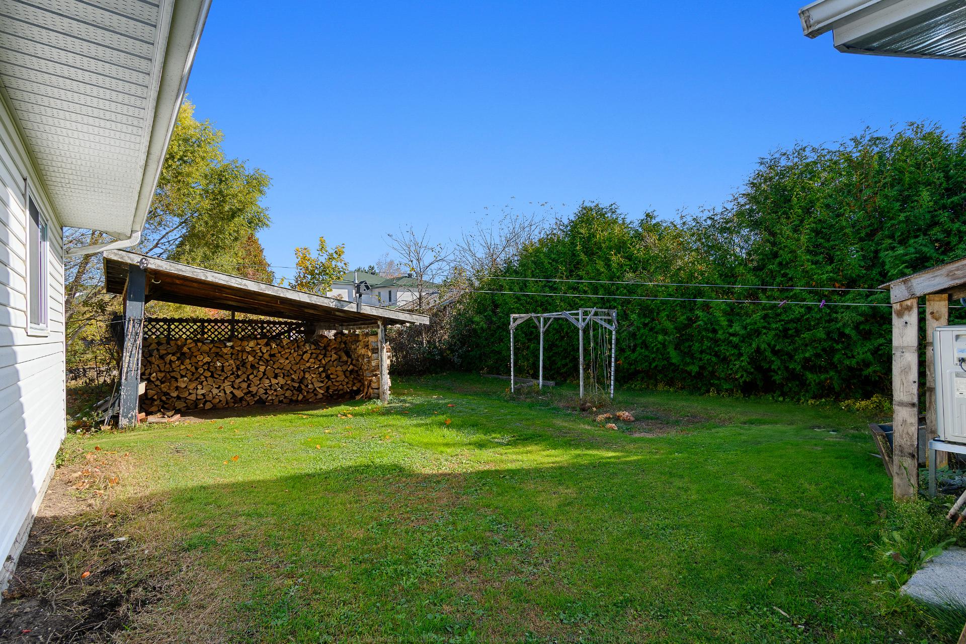 Backyard