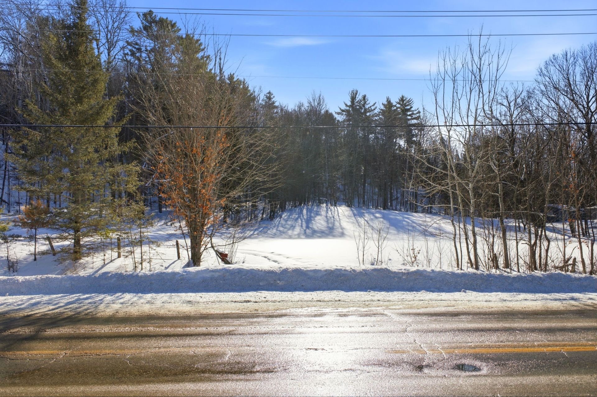 Land/Lot