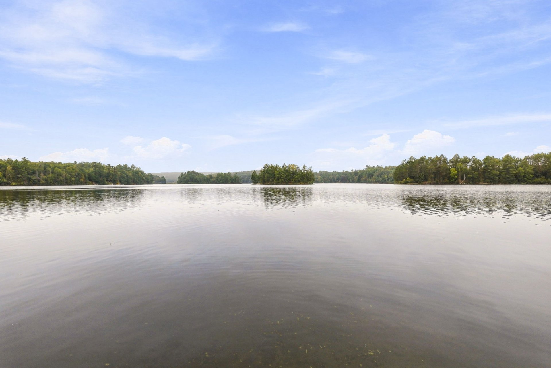 Bord de l'eau