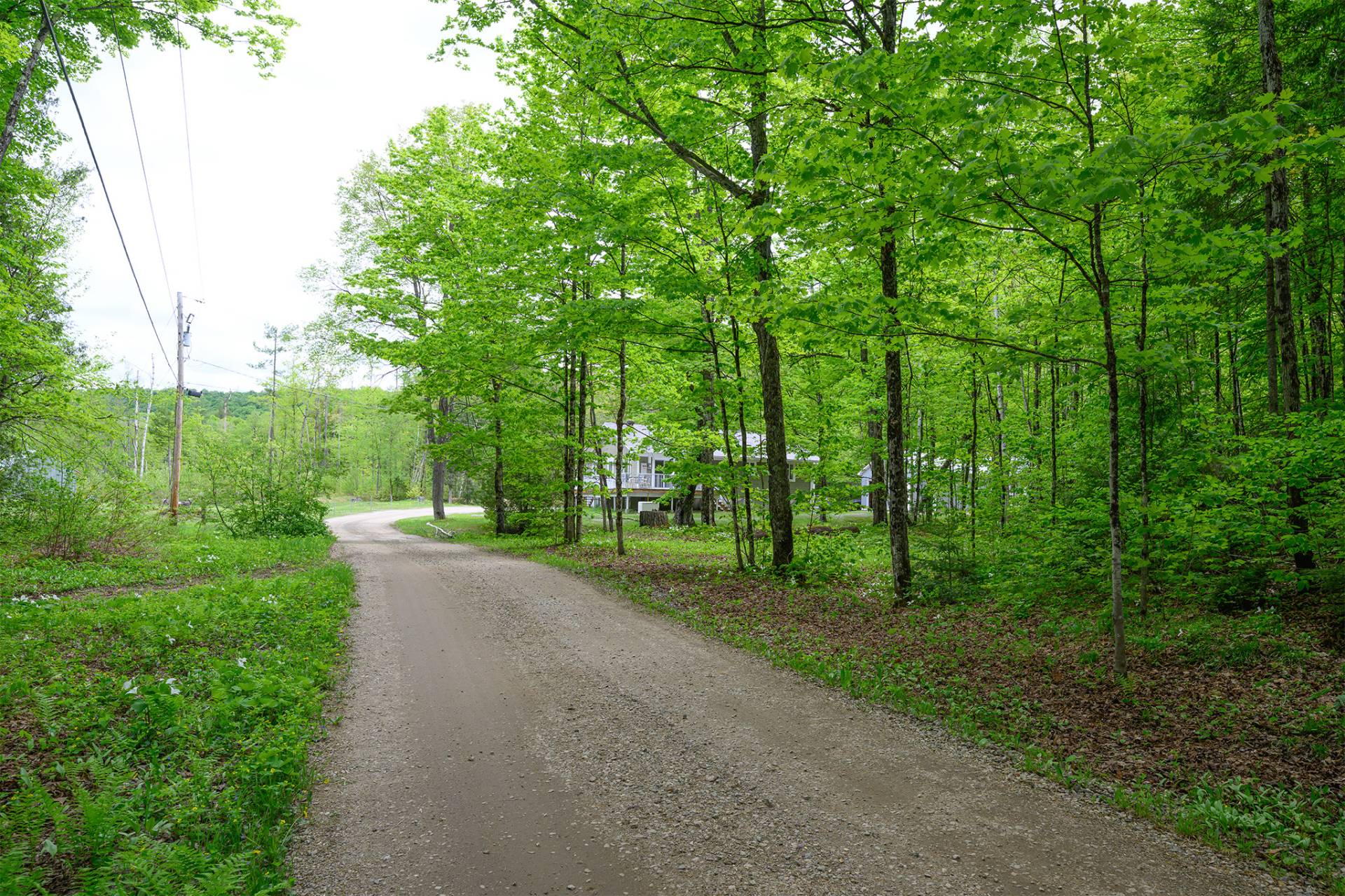 Terre à bois