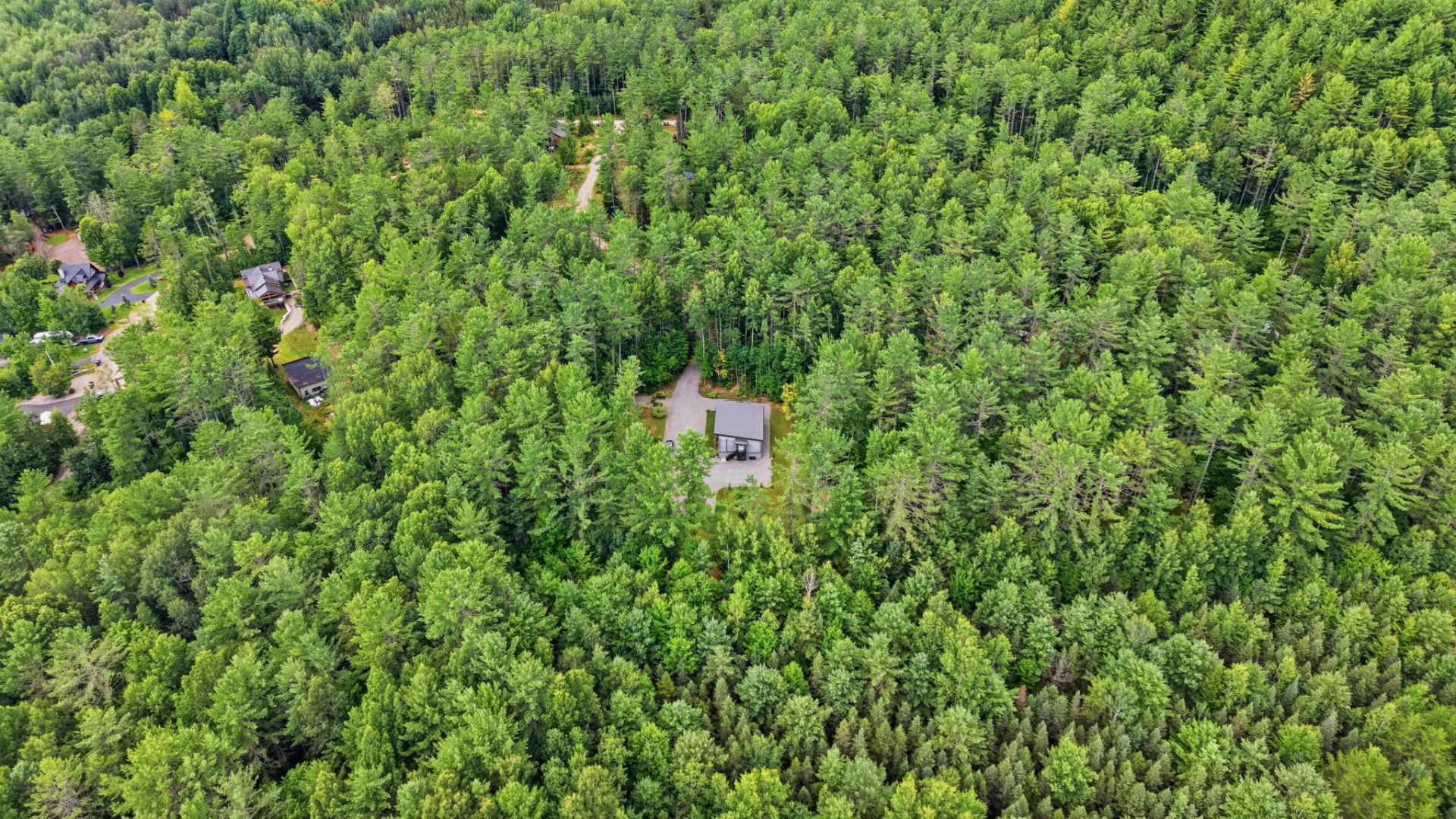 Overall view