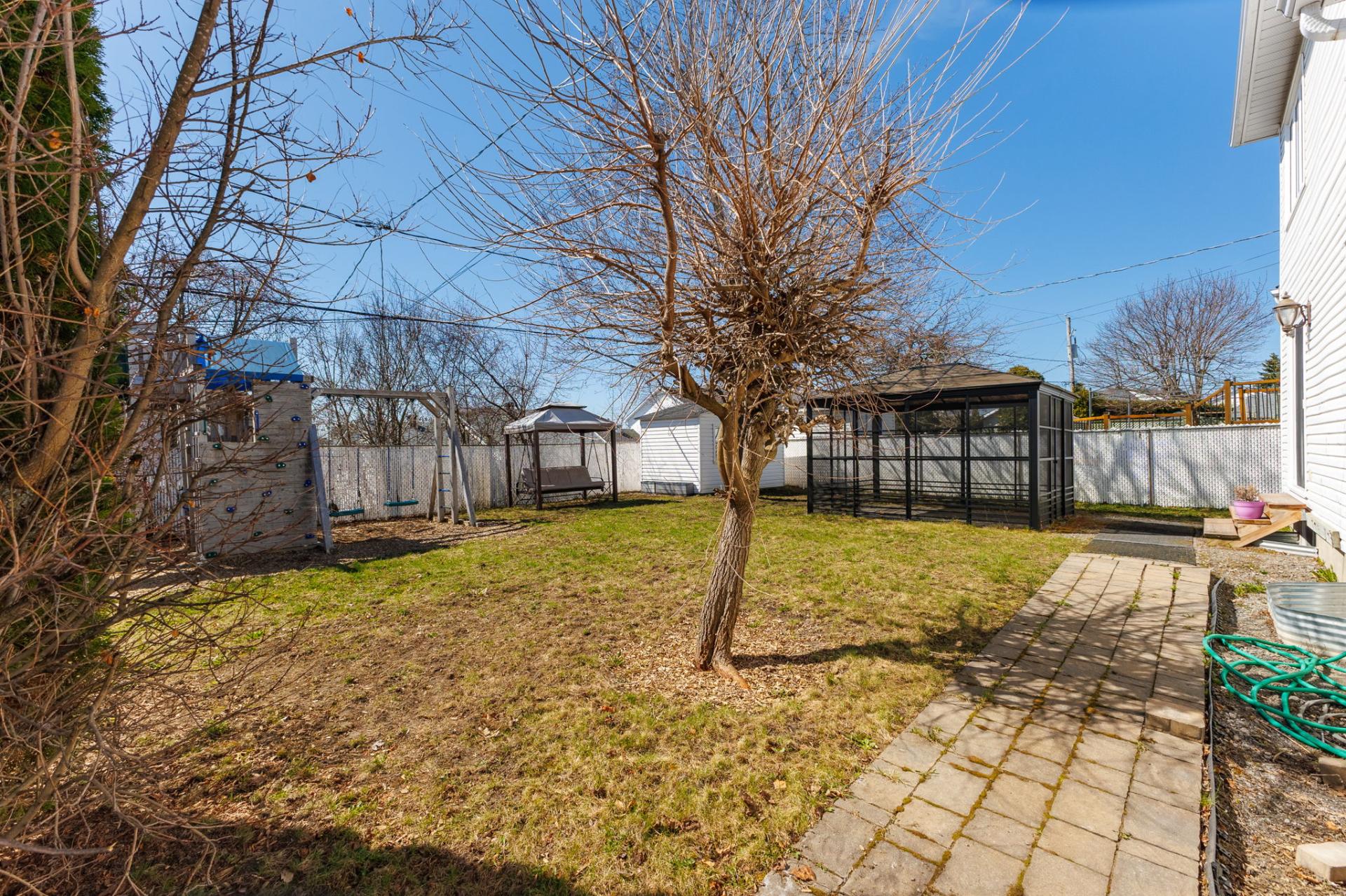 Backyard