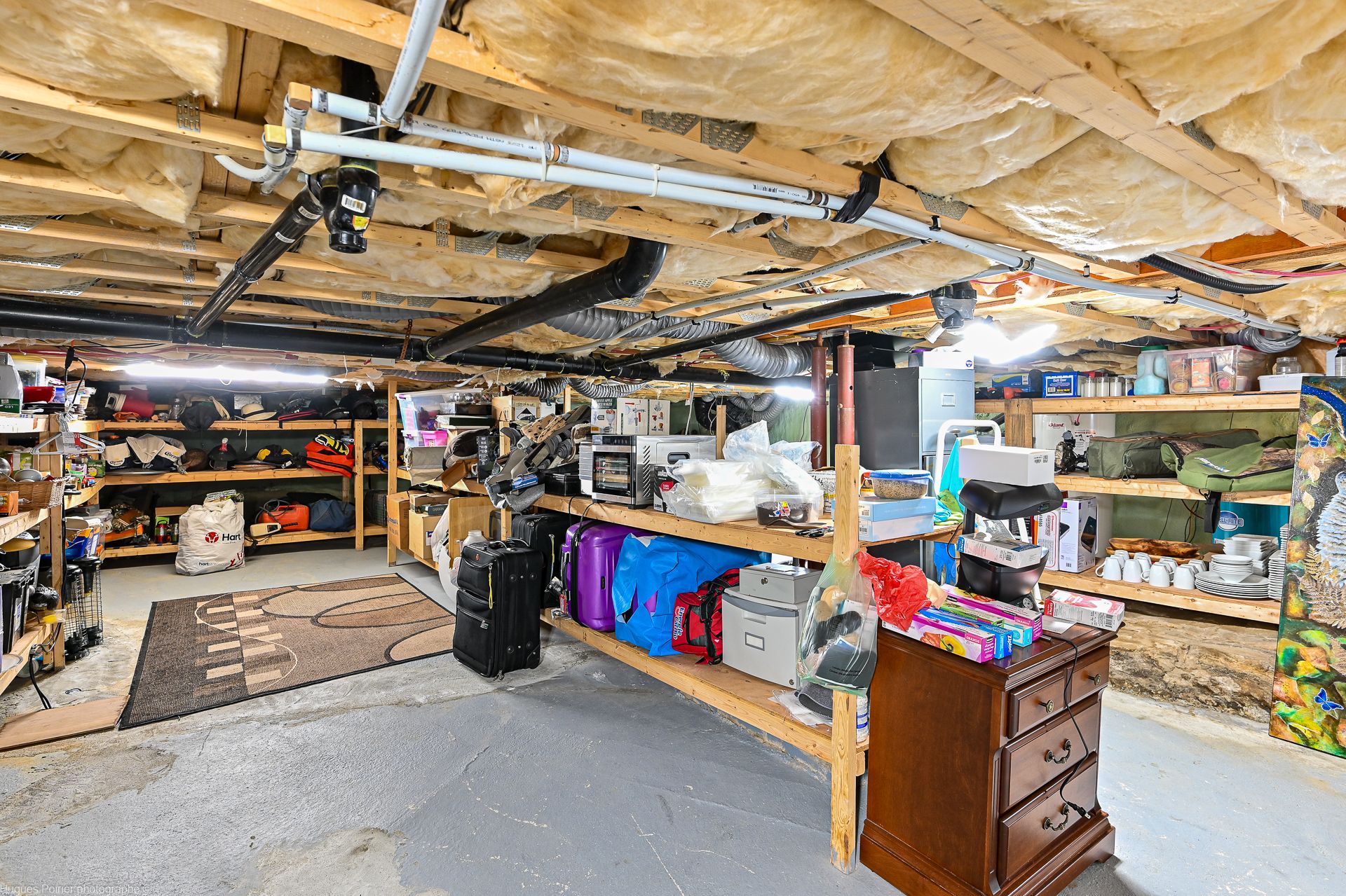 Basement