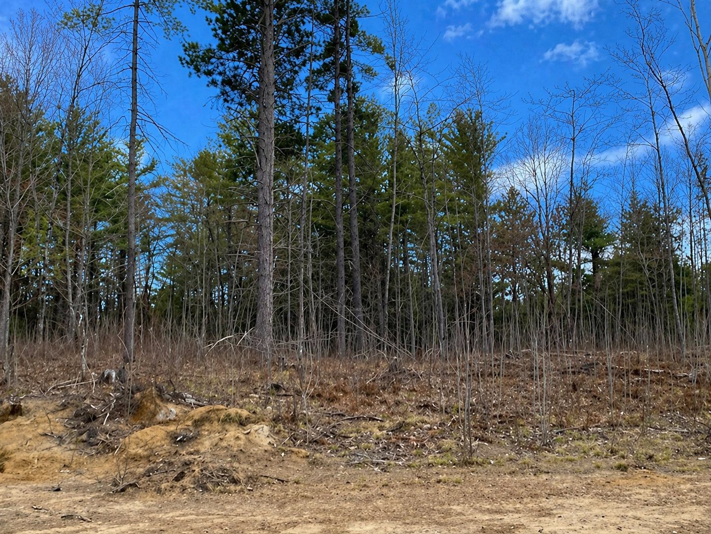 Land/Lot
