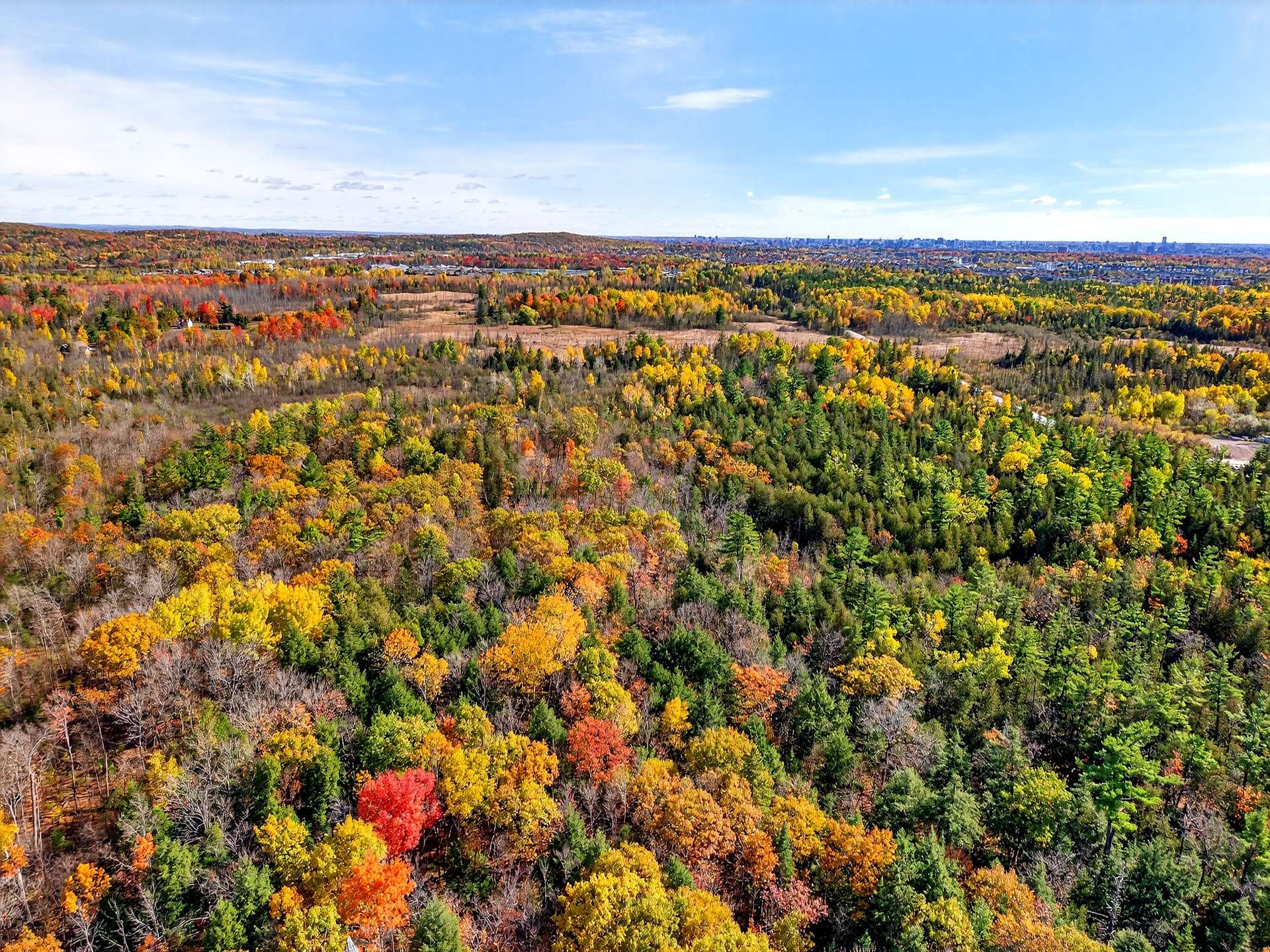 Land/Lot