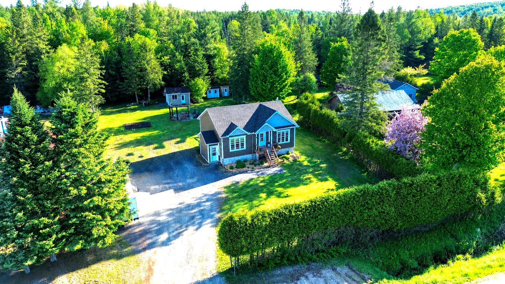 Aerial photo