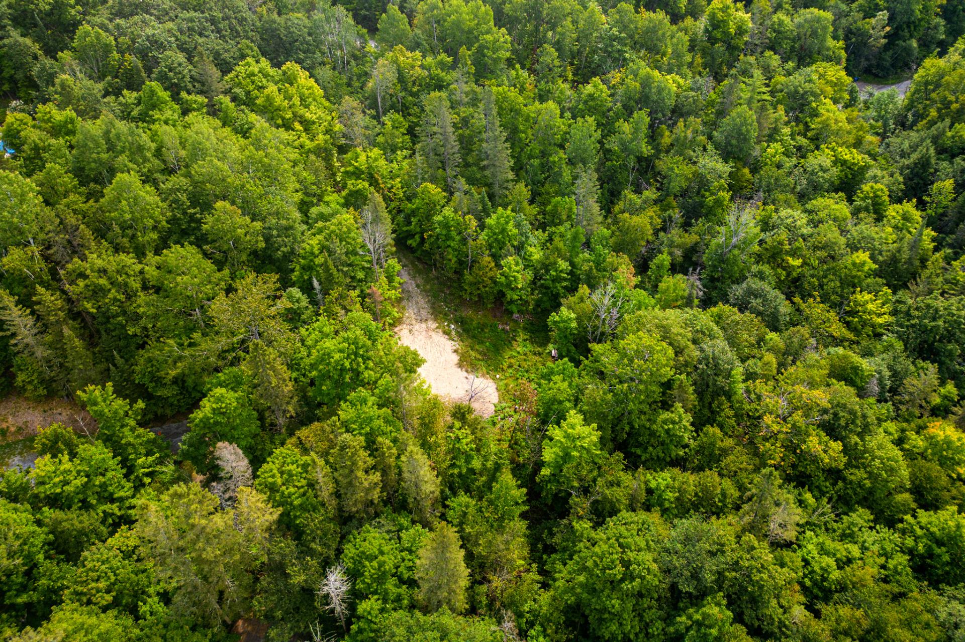 Land/Lot