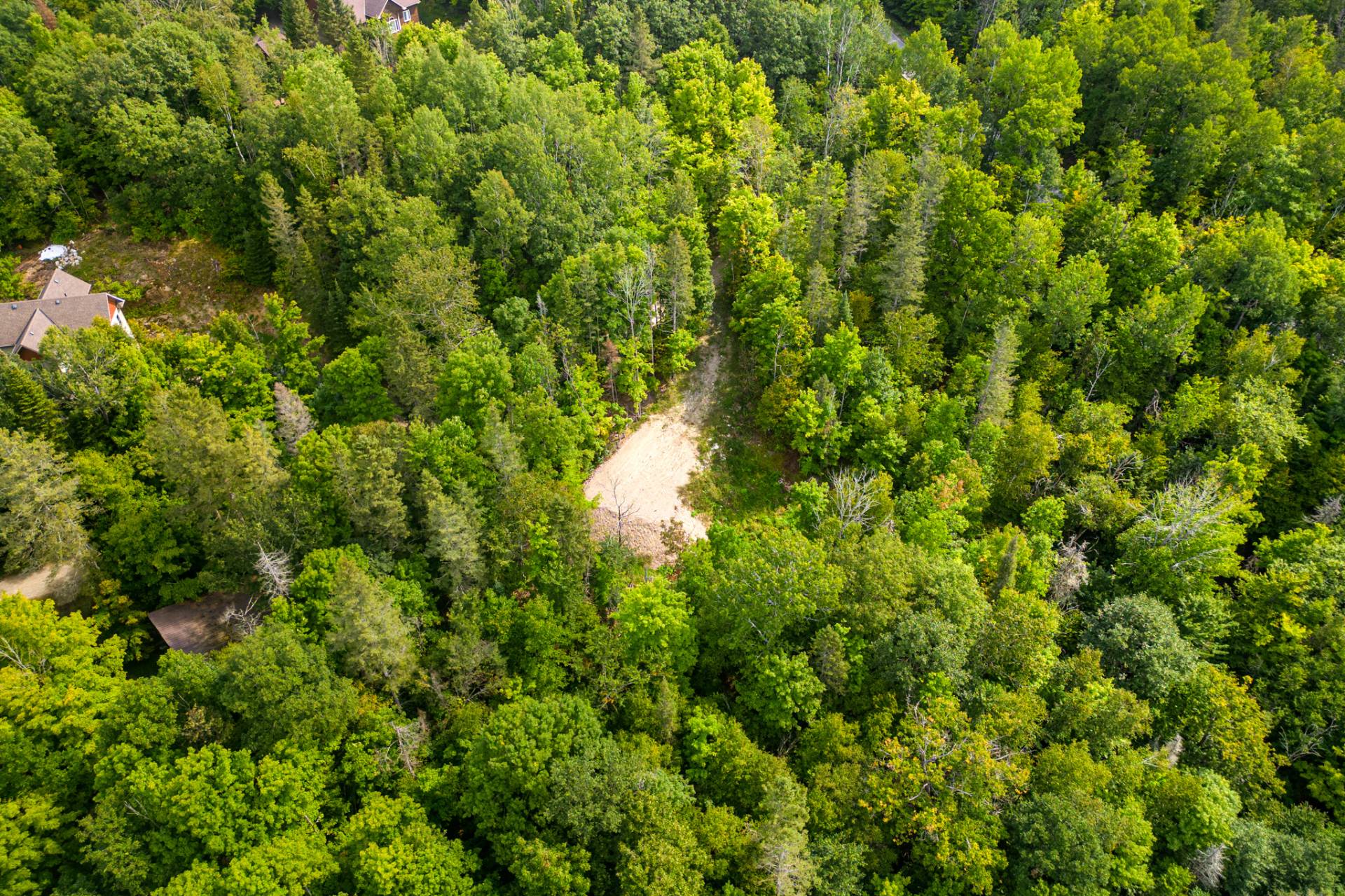 Land/Lot