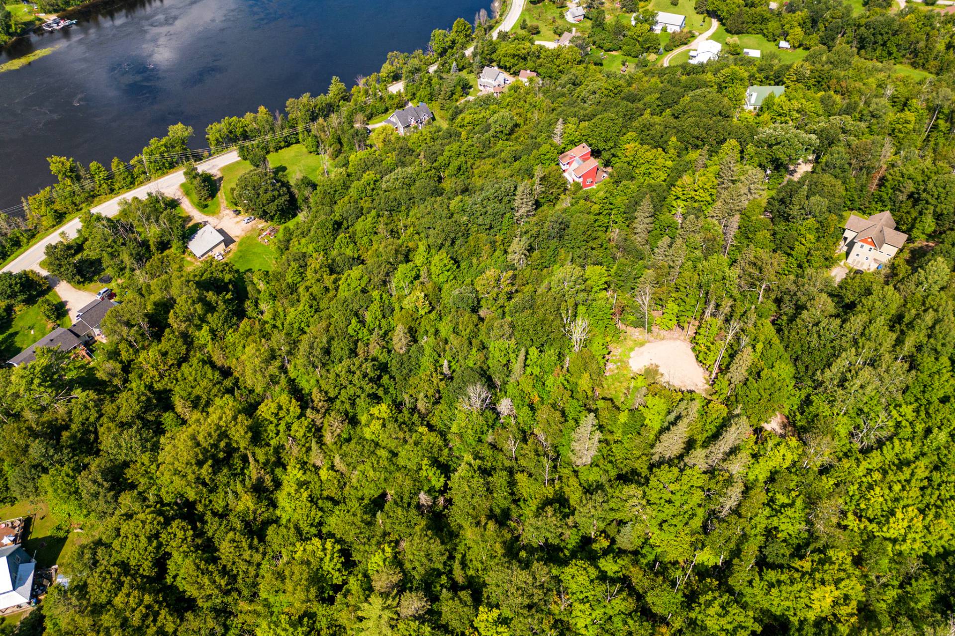 Overall view