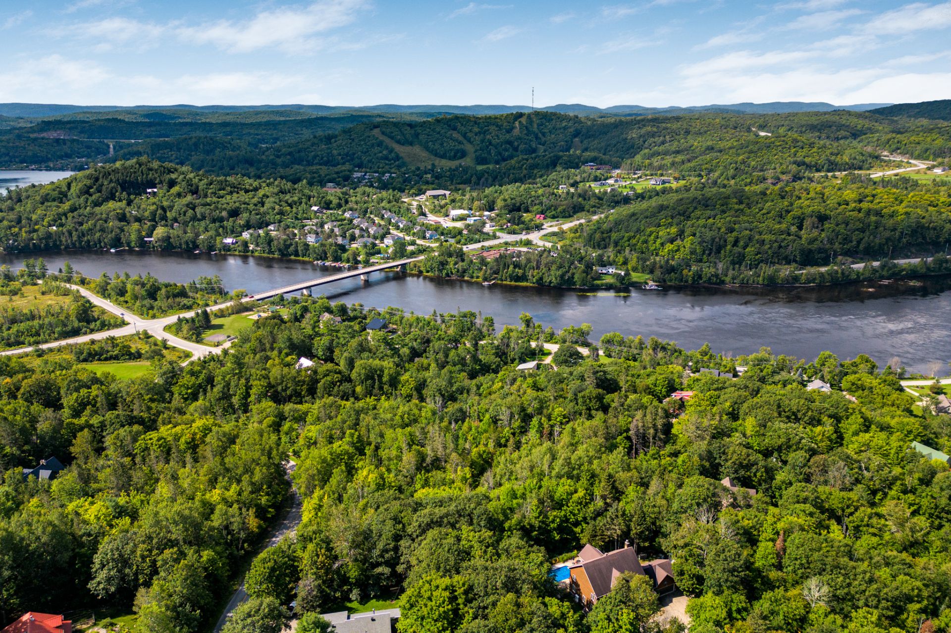 Overall view