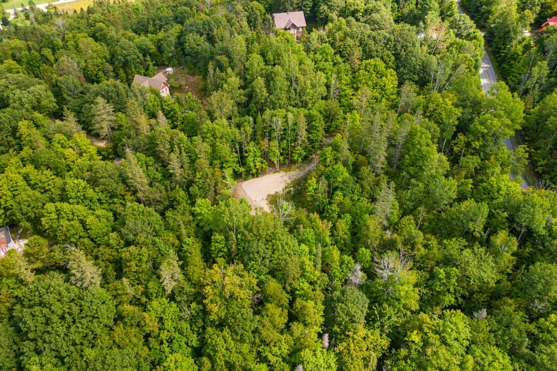 Land/Lot