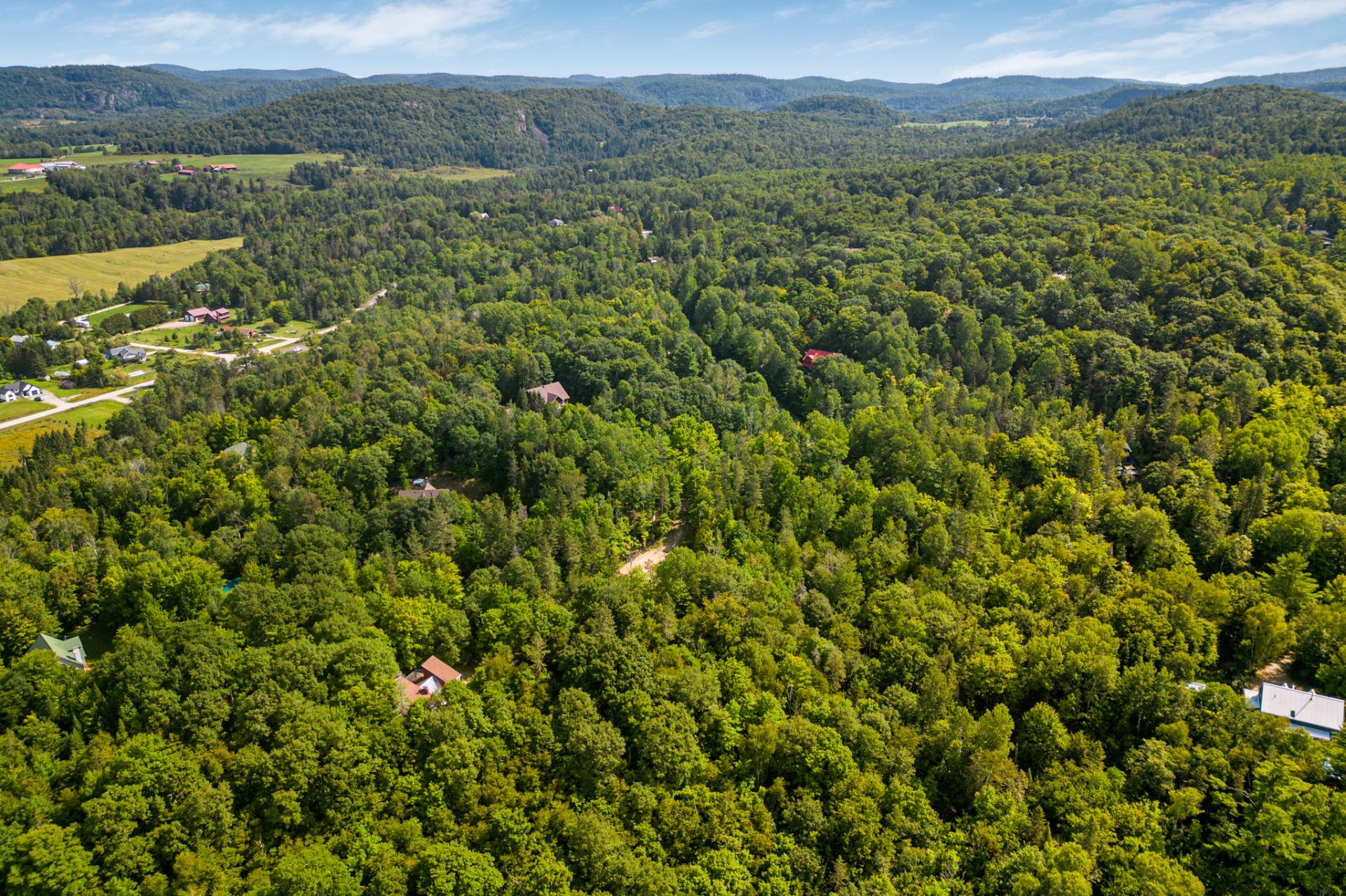 Overall view