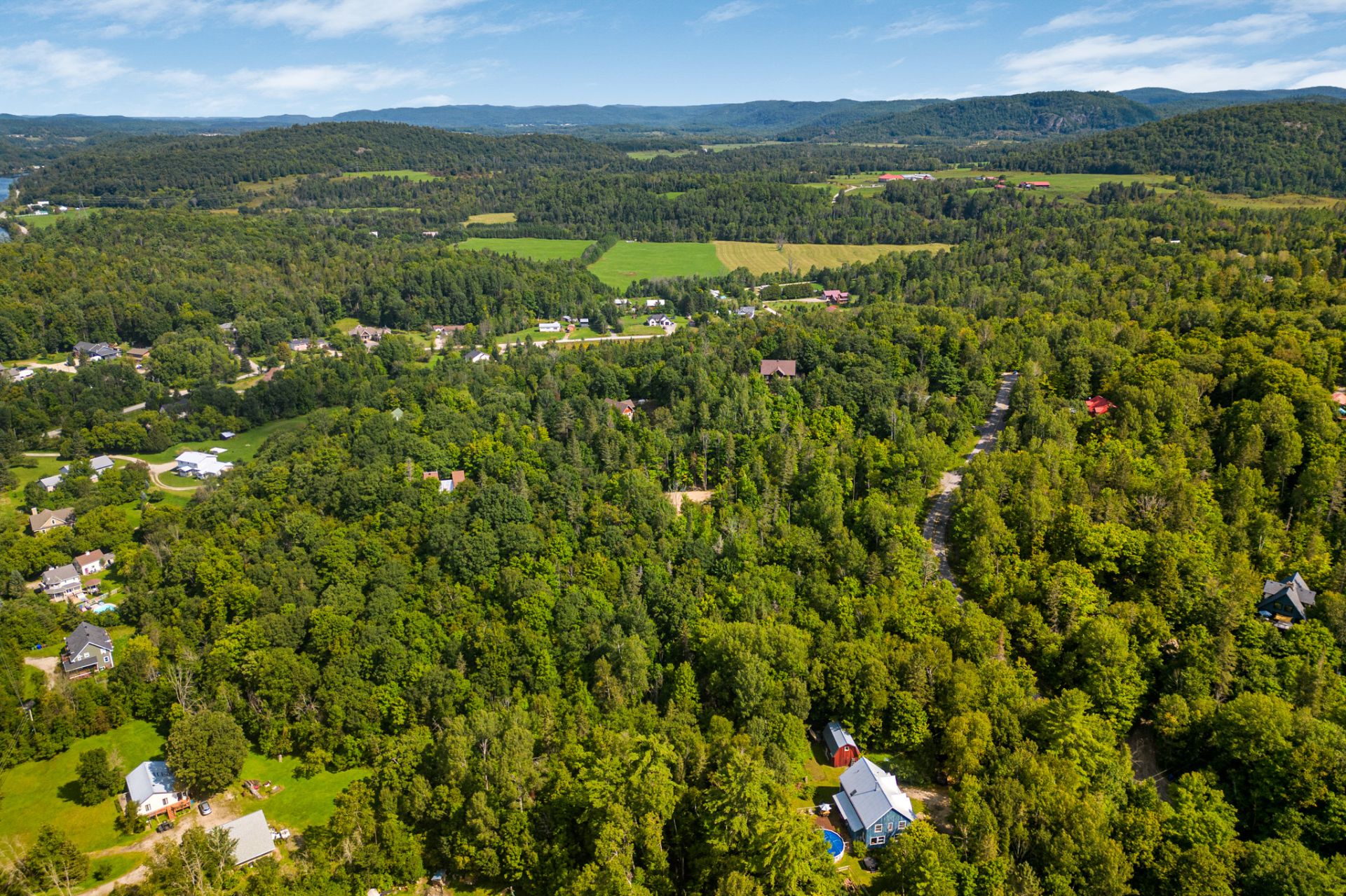 Overall view