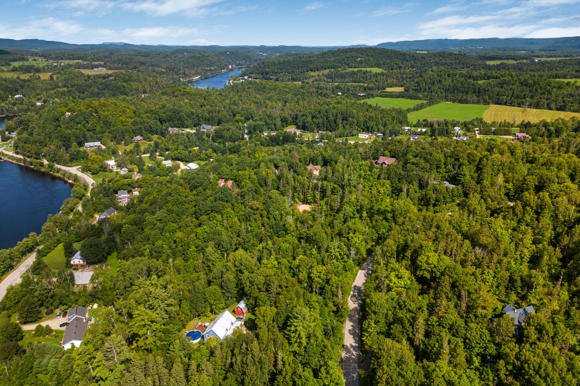Overall view