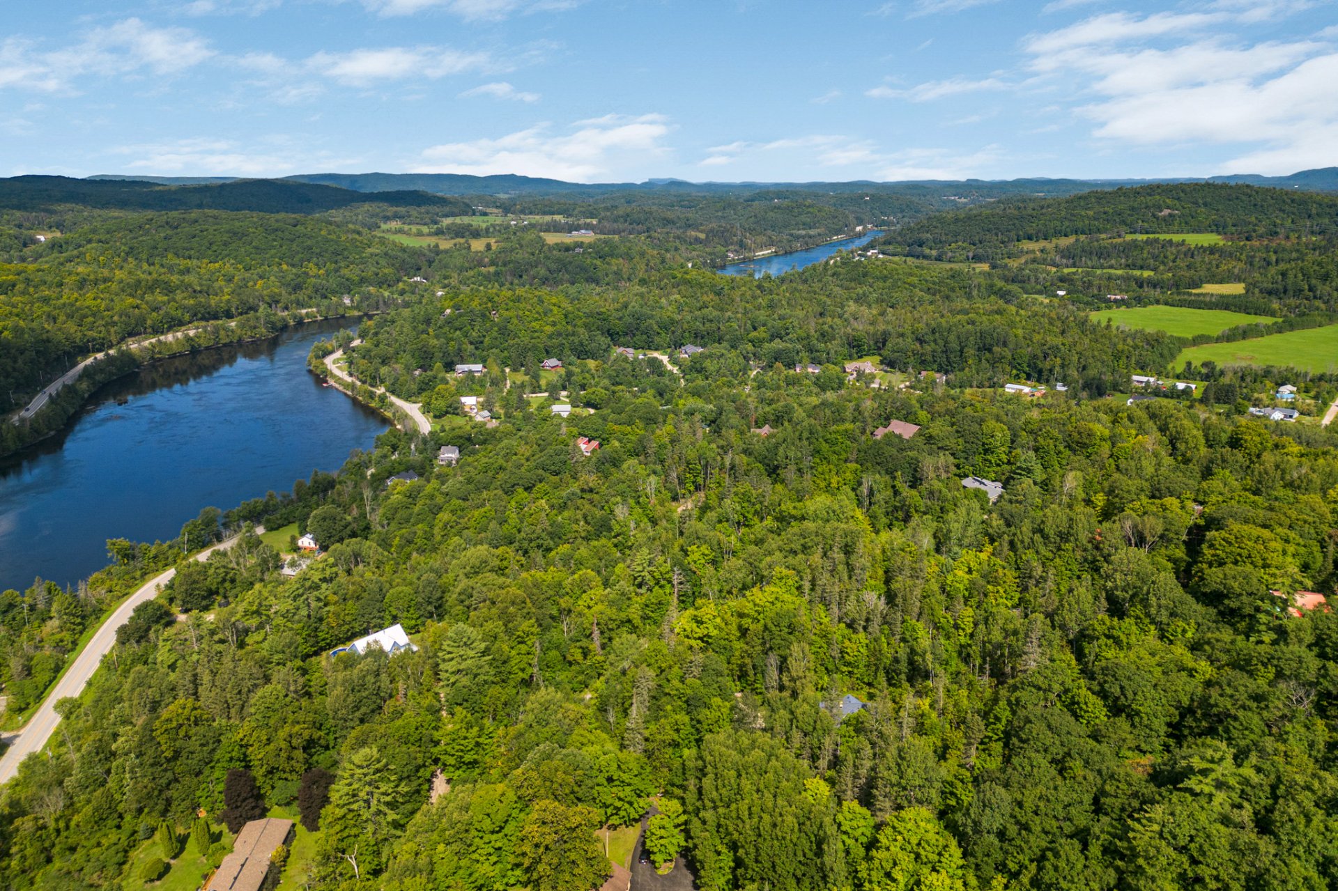 Overall view
