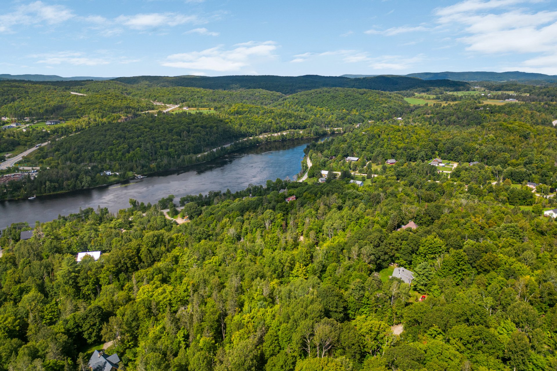 Overall view